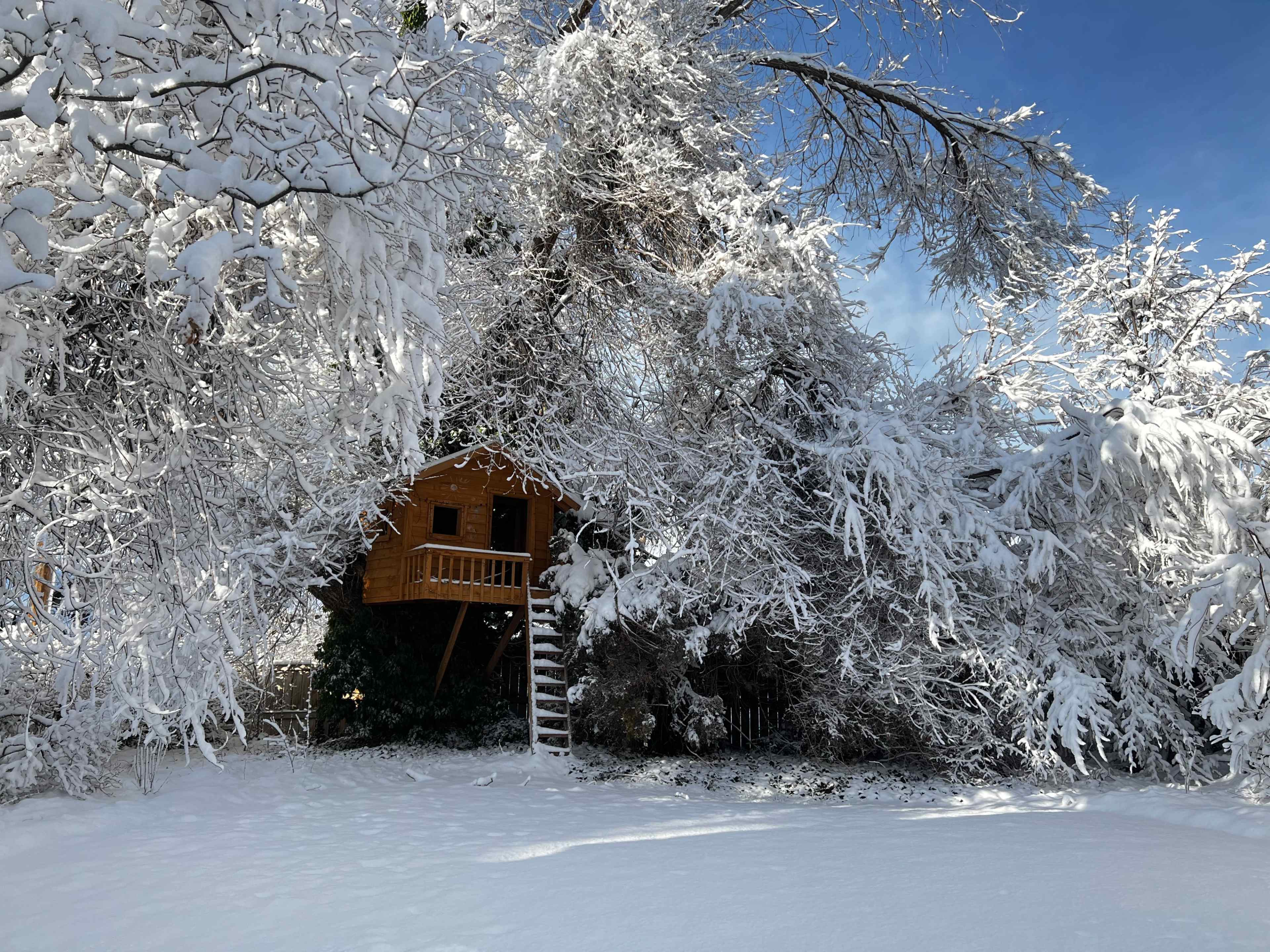 A wooden treehouse is nestled among heavy snow-covered branches in a winter landscape.