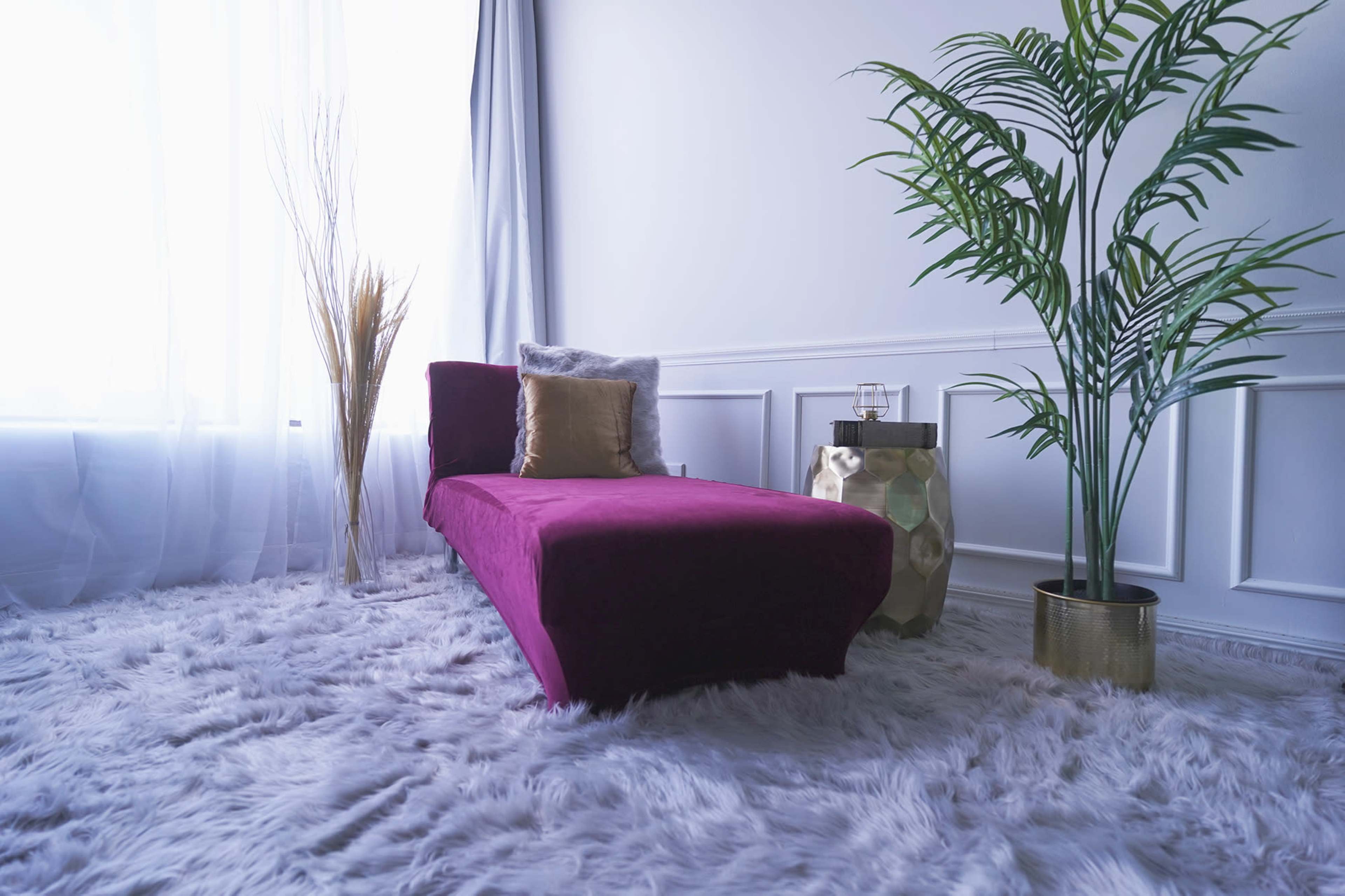 The image shows a purple chaise lounge placed on a plush, white area rug, next to a potted plant and a small side table with glassware.