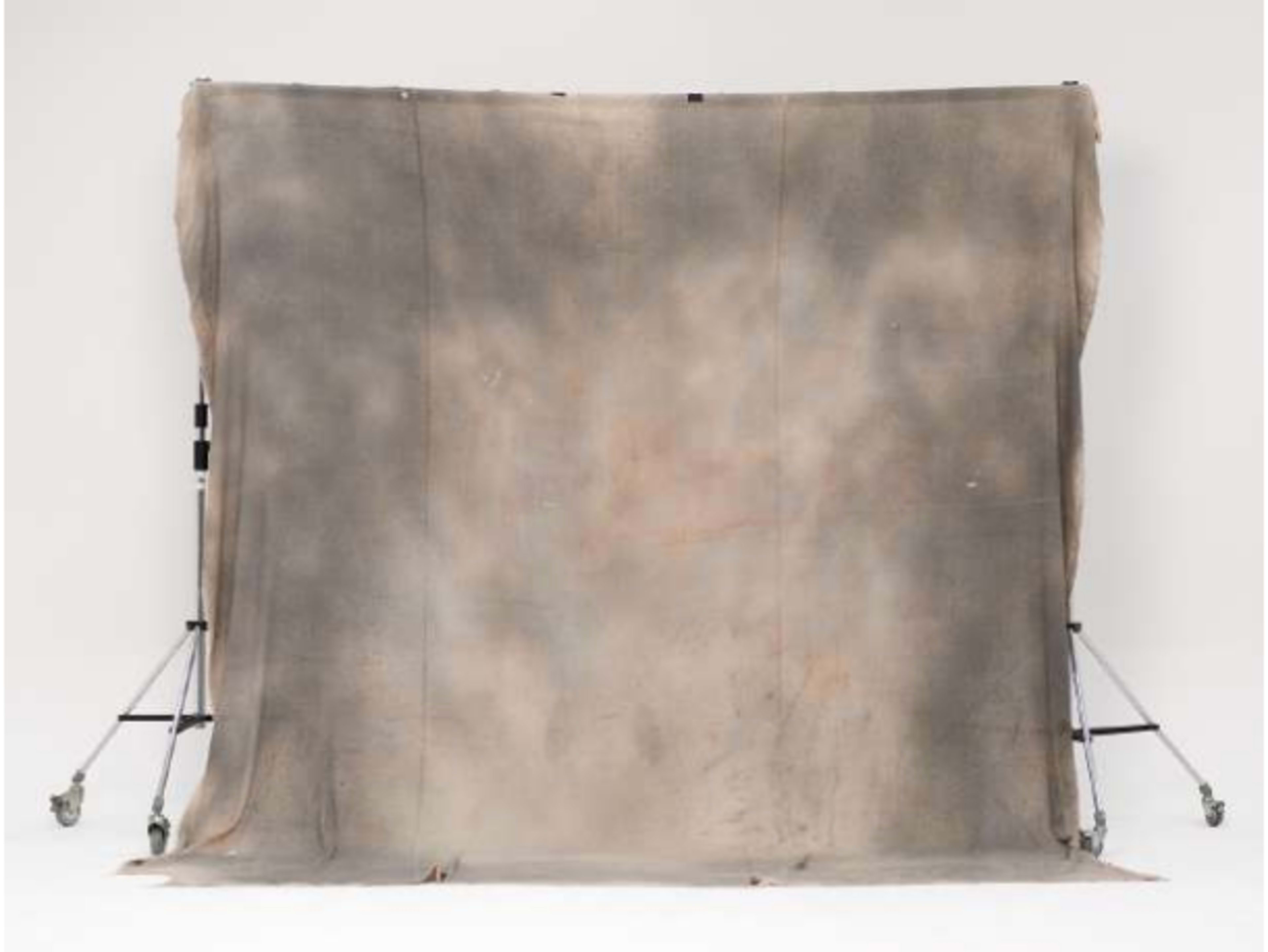 Fabric Backdrop: Mottled Fine Art