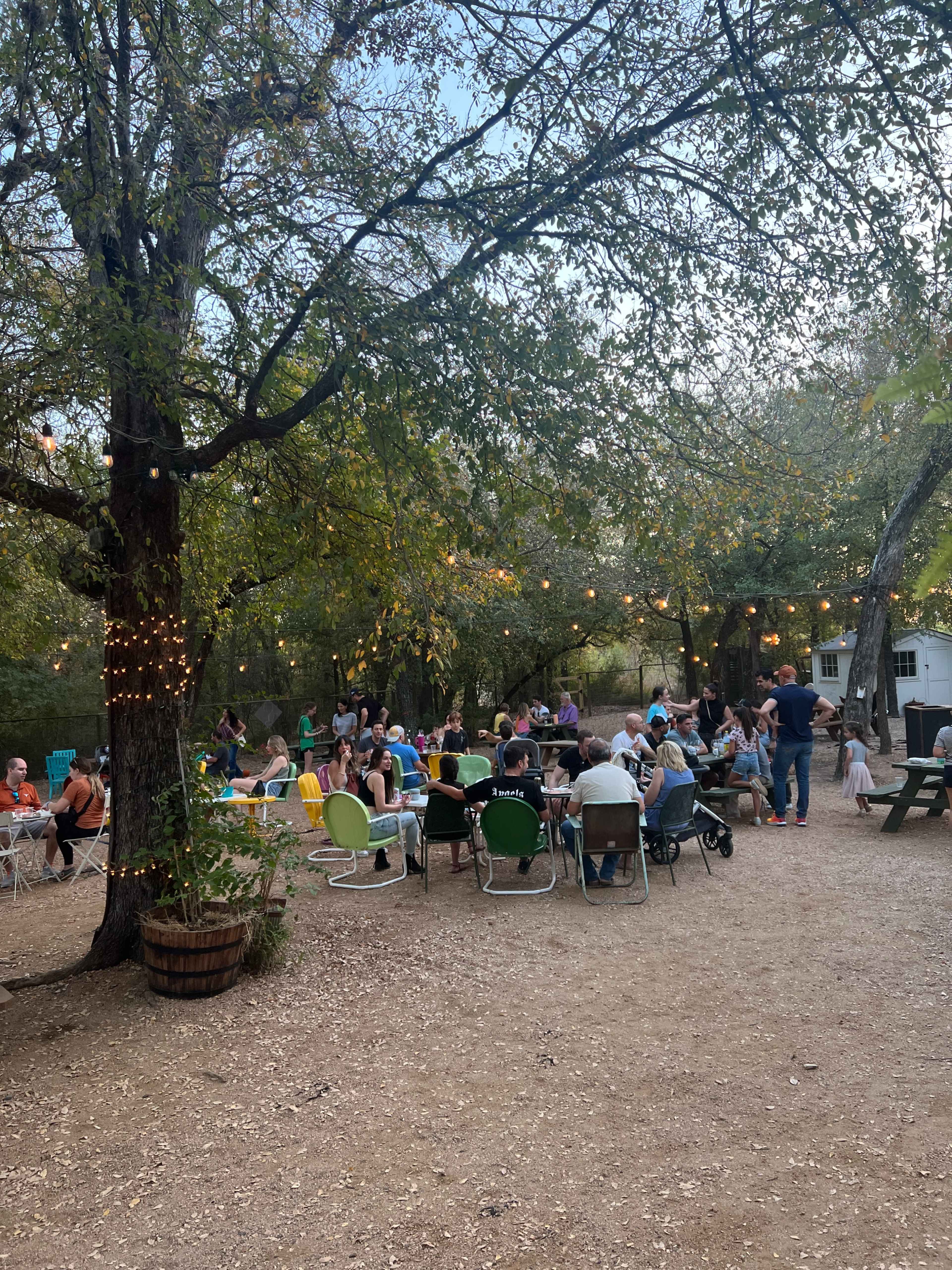 East-Side Enchanted Garden Image in Rosewood, Austin, TX