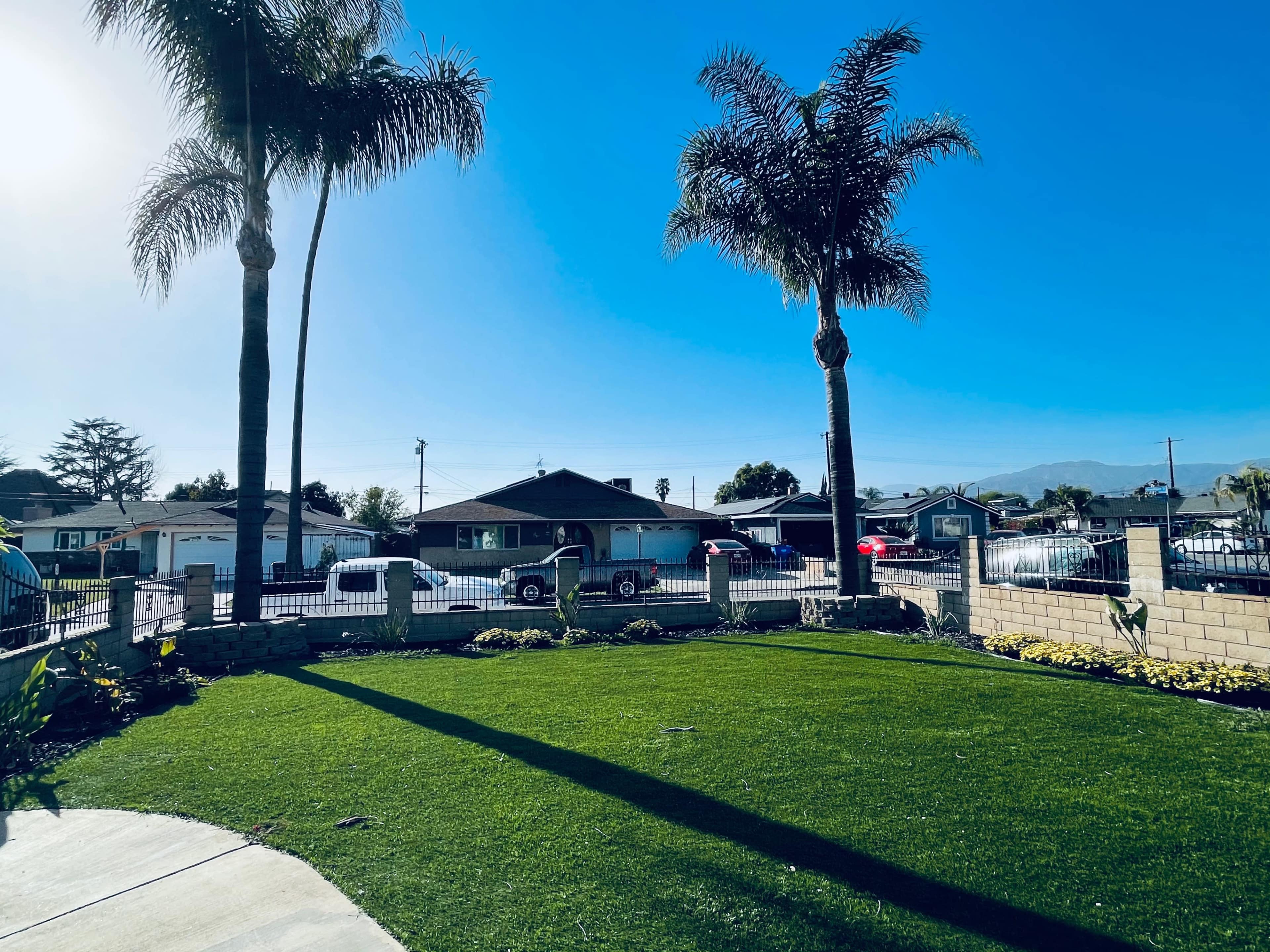The image shows a well-maintained grassy area with palm trees and a clear blue sky, surrounded by a low wall and houses in the background.
