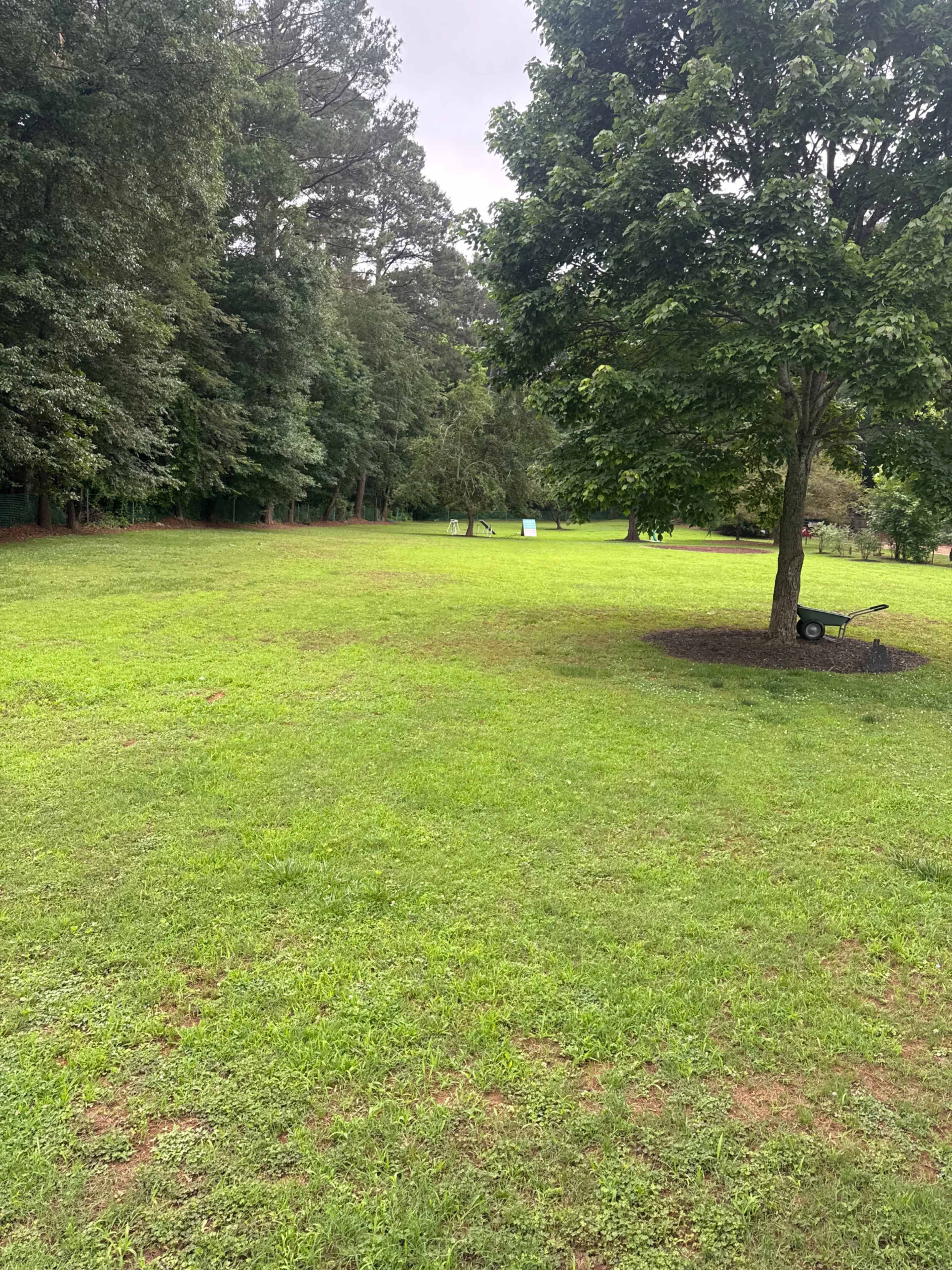 The image shows a green lawn with trees surrounding the area, and a wheelbarrow visible in the foreground.