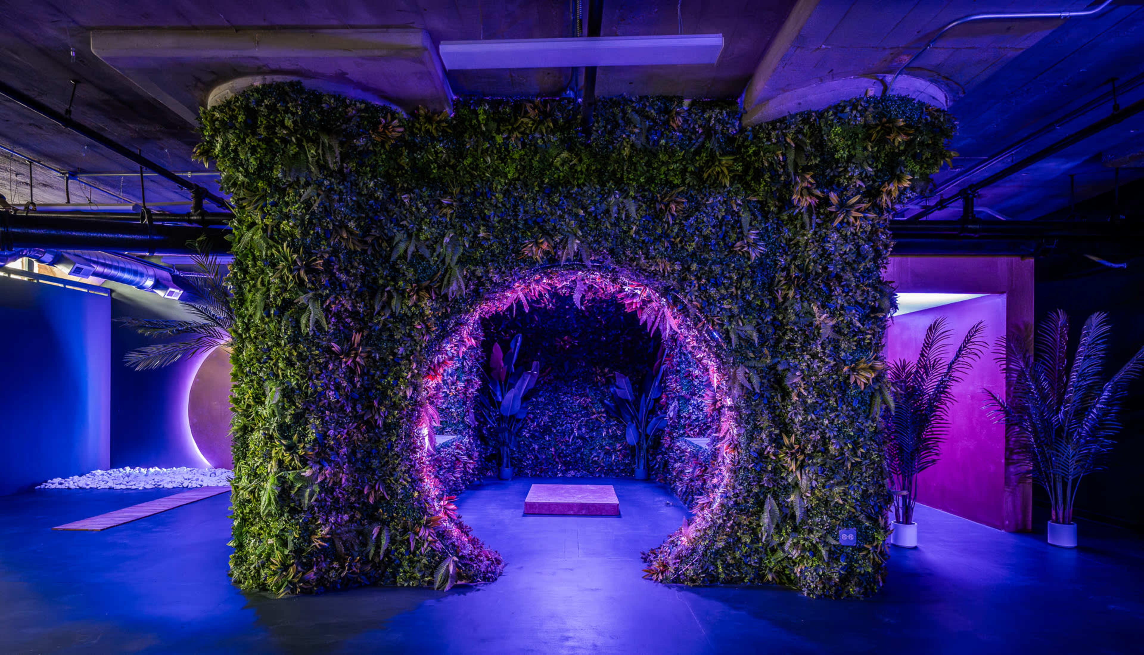 The Jungle | Creative Photo & Video Studio Image in Austin, Chicago, IL