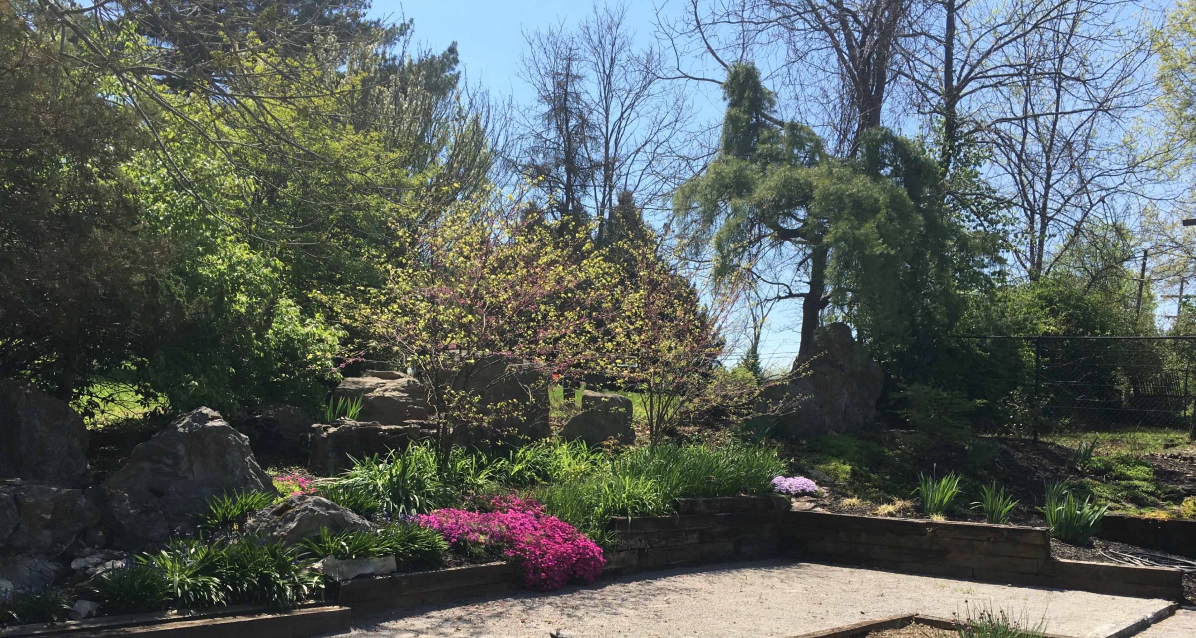 A landscaped garden featuring a variety of plants, rocks, and trees under clear blue skies.