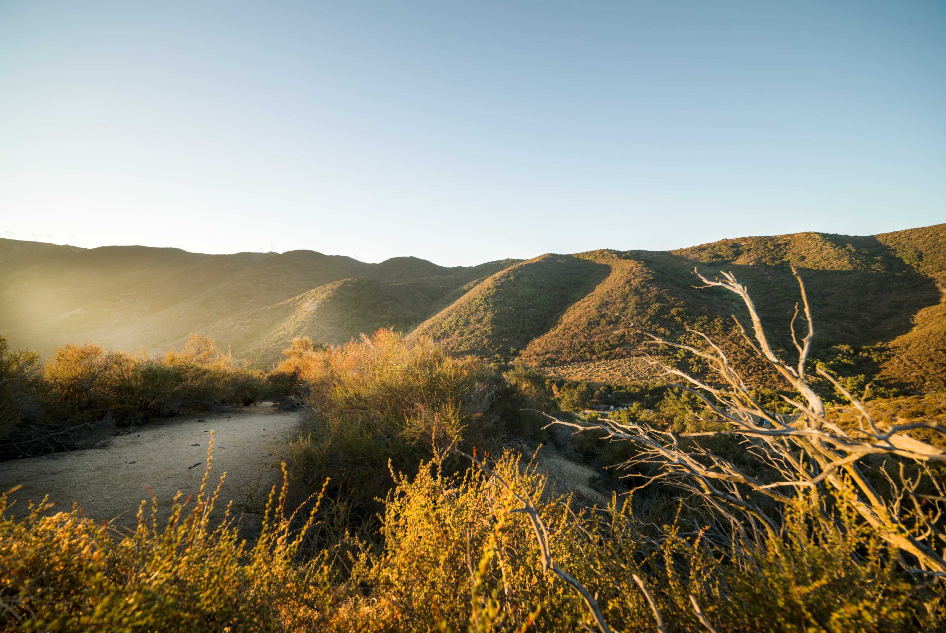 High Desert Multi-Set Cinematic Ranch in Nature/Wilderness Image in Leona Valley, Leona Valley, CA