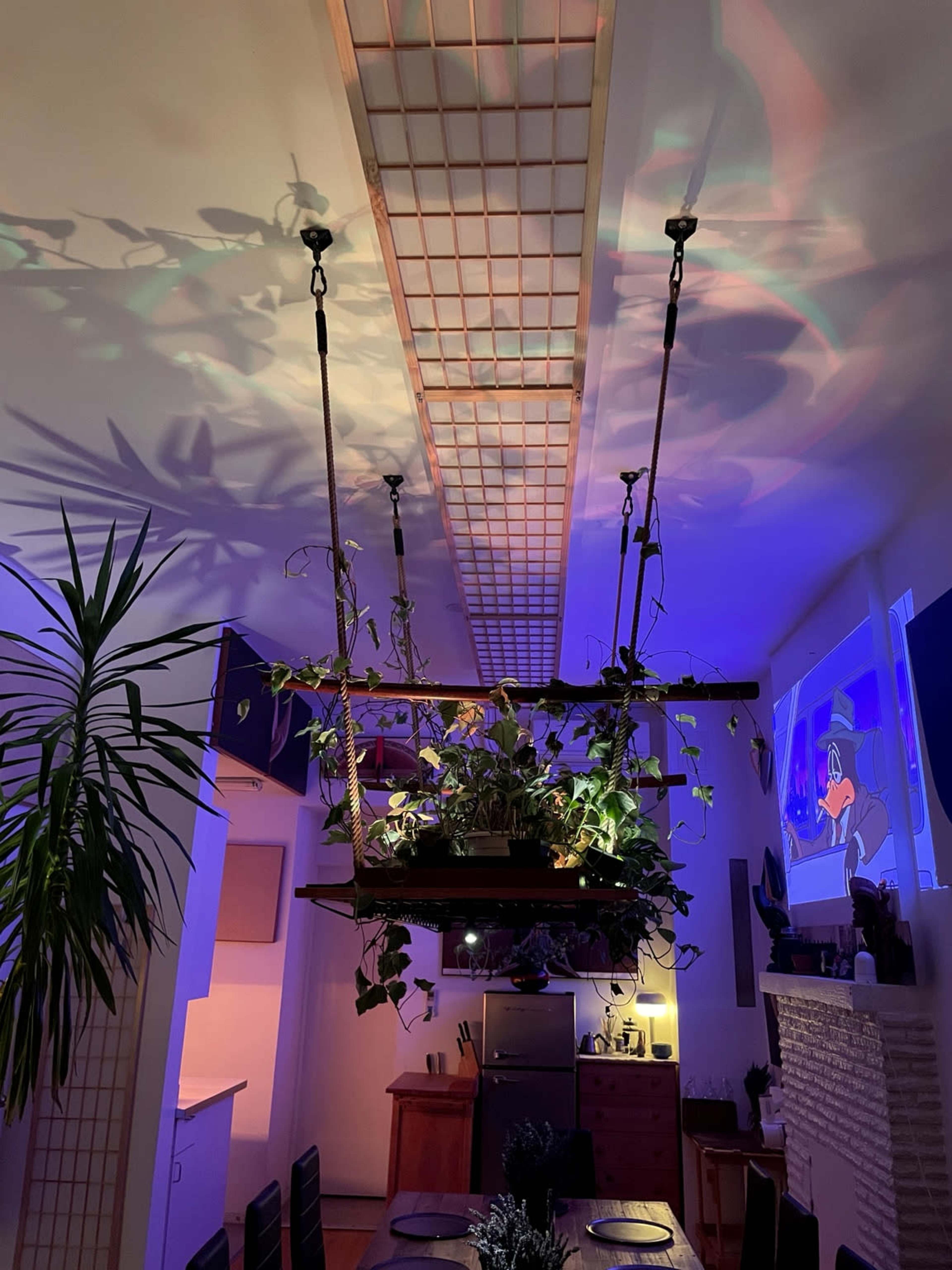 The image shows an indoor dining area with a suspended planter, illuminated by colorful lights, and a television screen displaying a cartoon in the background.