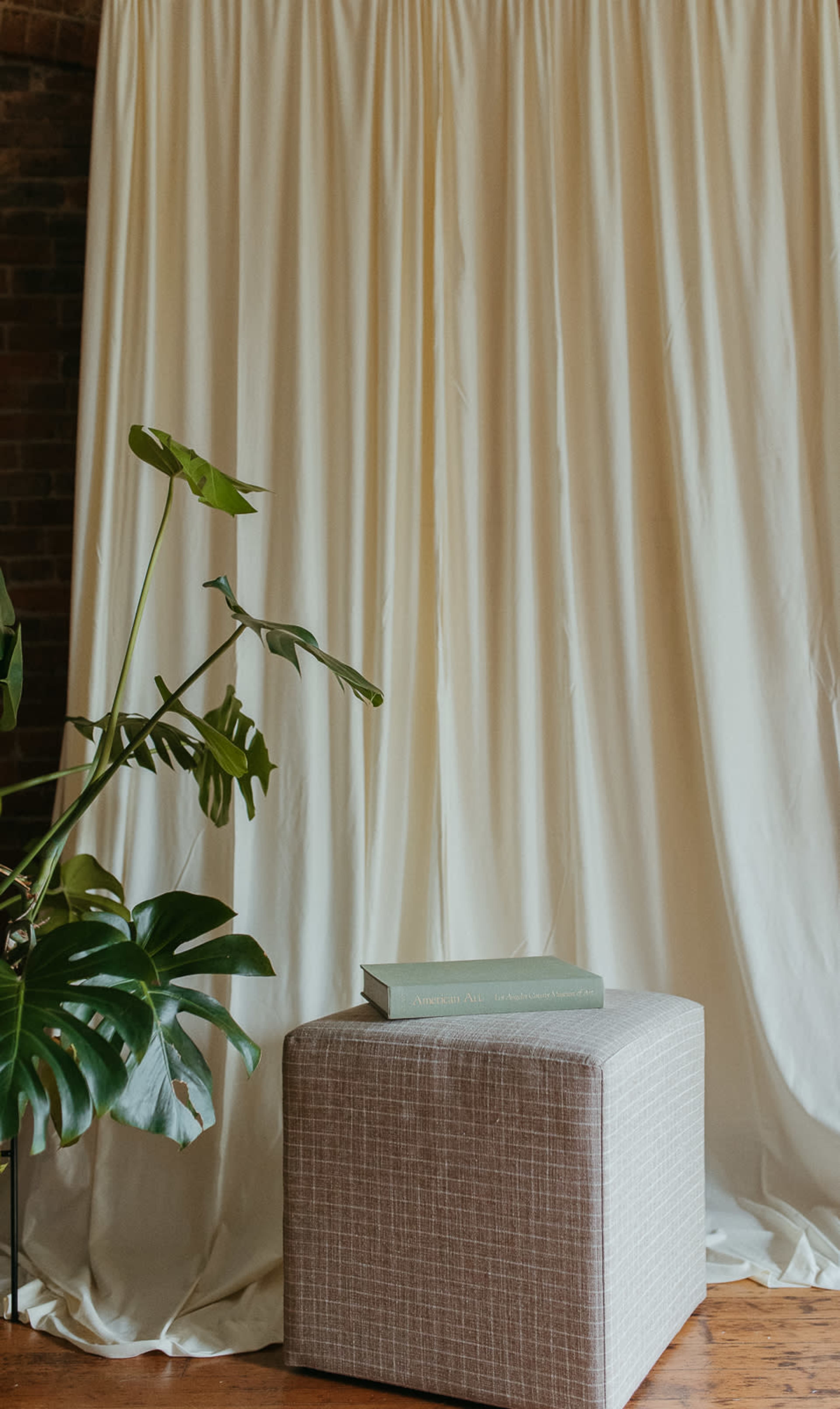 A potted plant stands beside a gray upholstered cube with a book resting on top, set against a backdrop of a light-colored draped curtain.