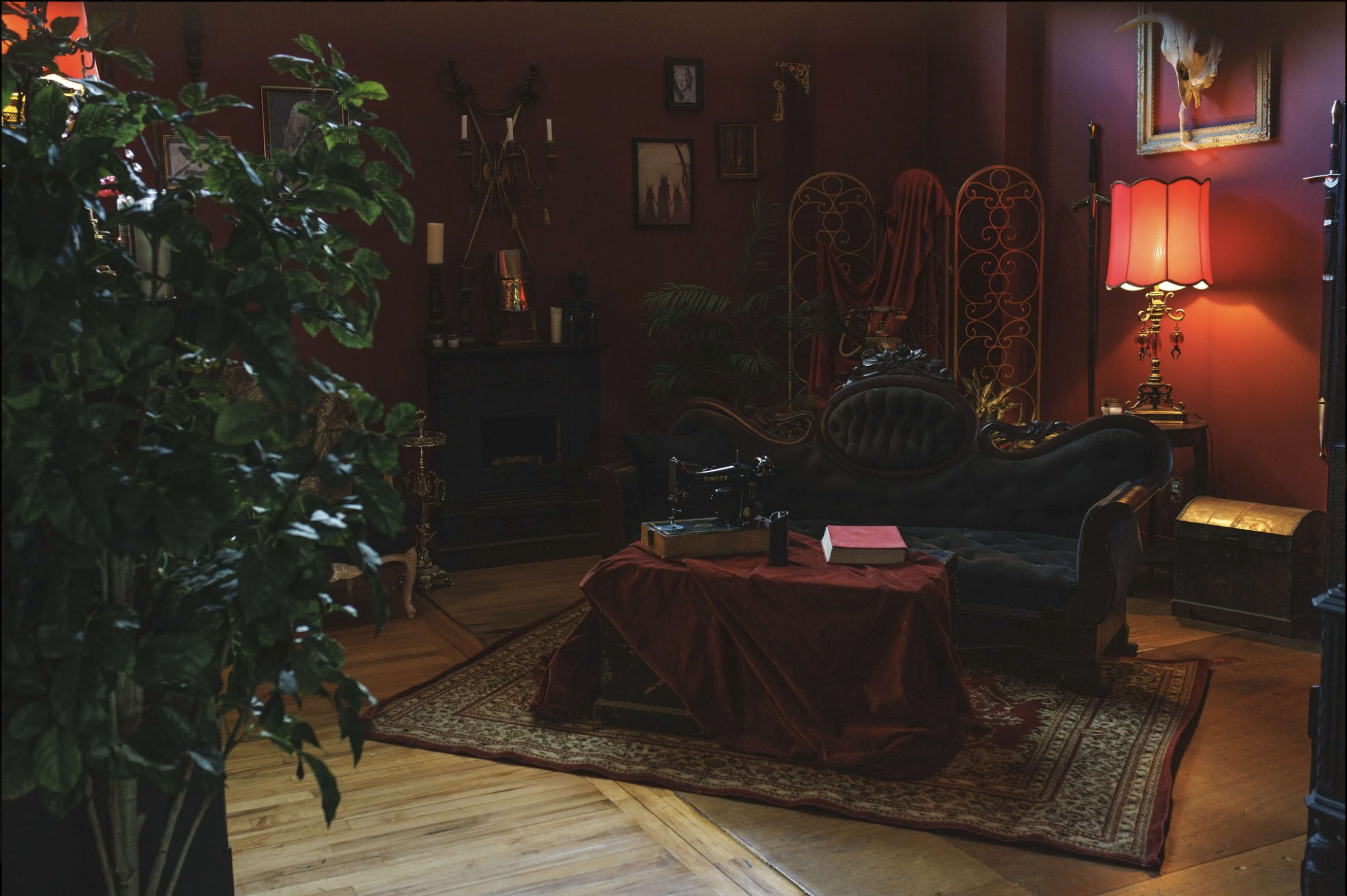 A velvet sofa and a side table with a red cloth are positioned in a dimly lit room adorned with vintage decor and plants.