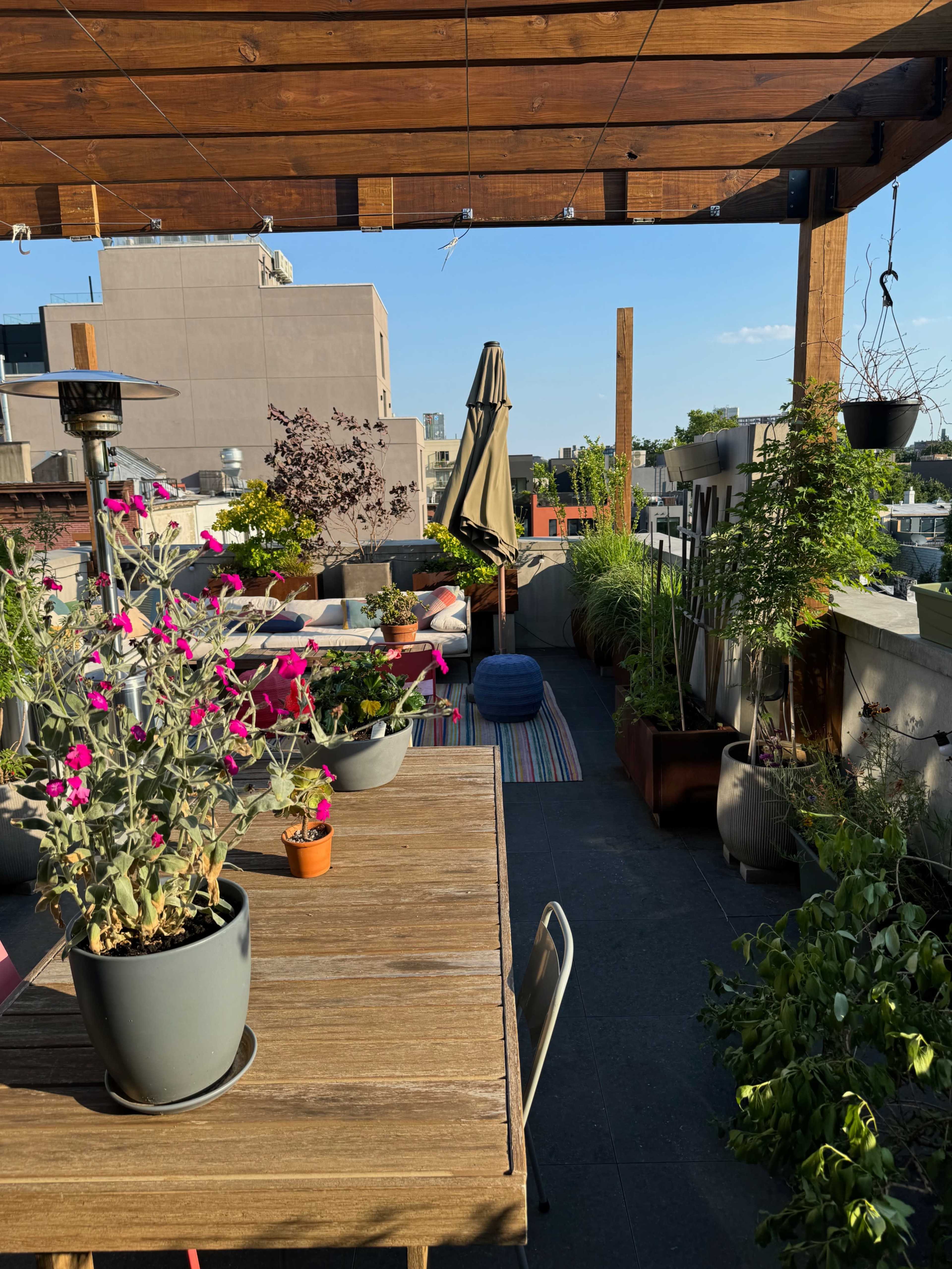 A rooftop terrace features wooden furniture surrounded by potted plants and a colorful rug under a clear blue sky.