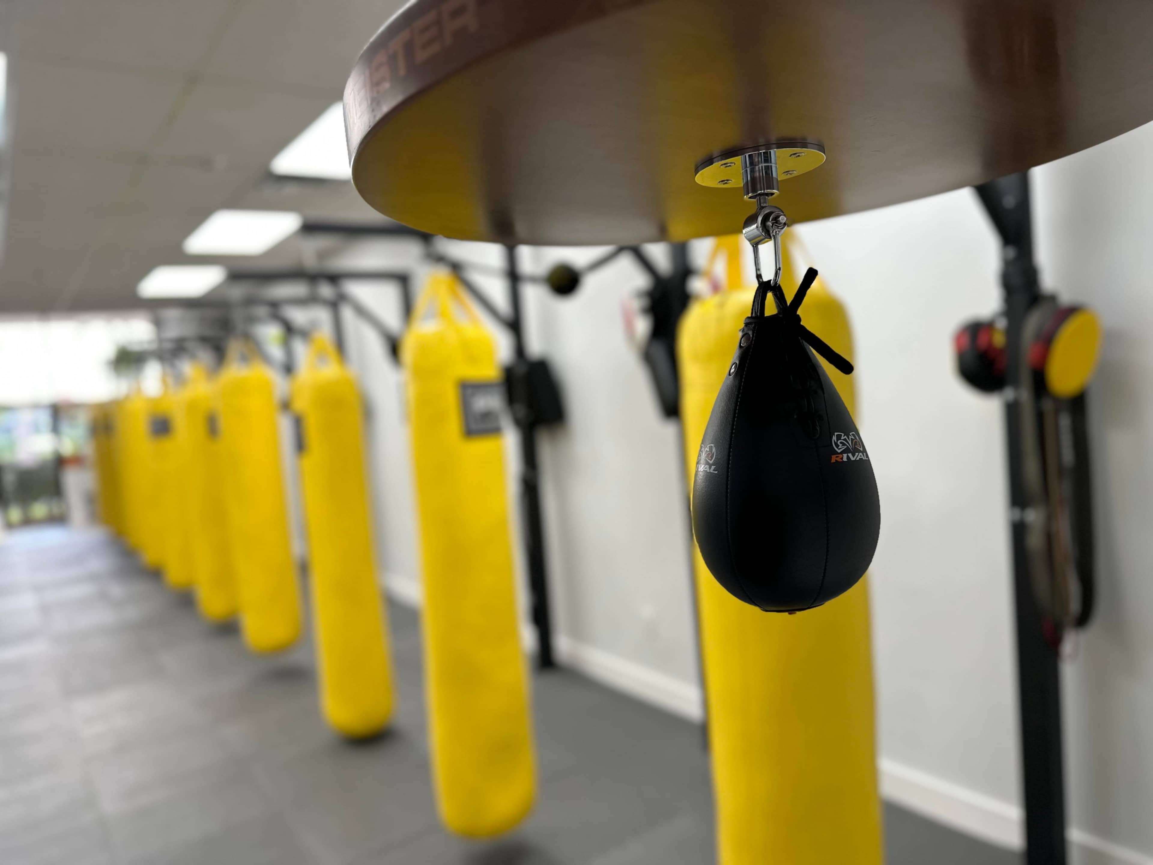 A boxing gym with yellow punching bags hanging in a row and a black speed bag in the foreground.