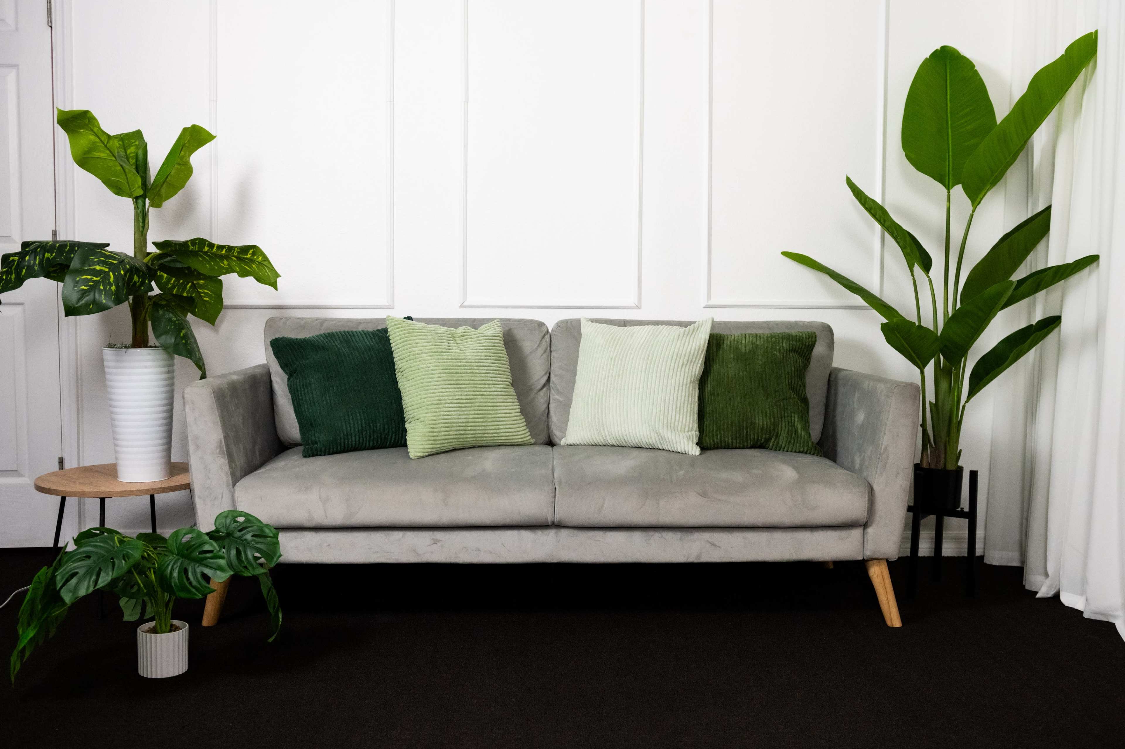 A light gray sofa with green cushions is positioned against a white wall, accompanied by tall houseplants on either side.