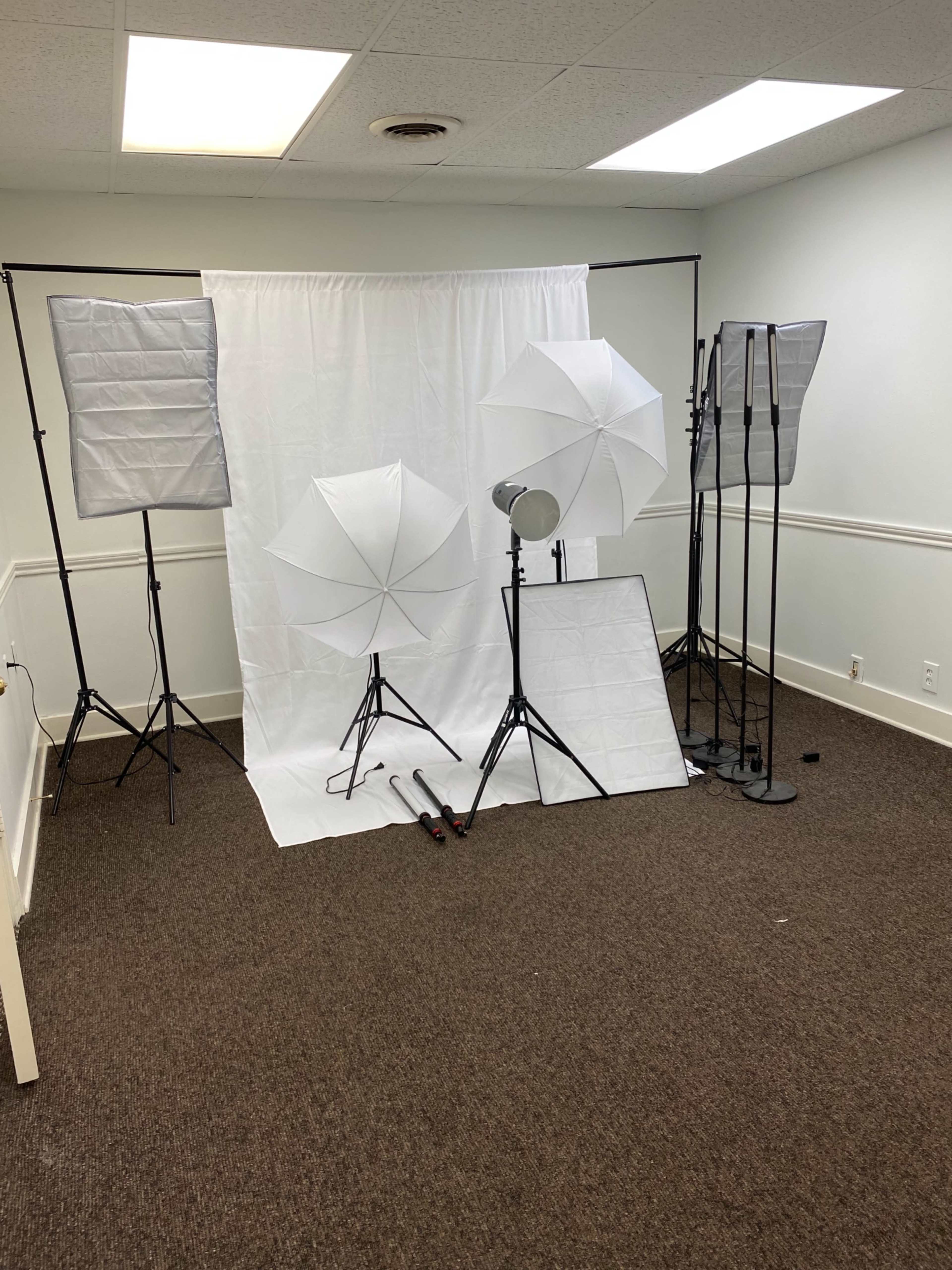 A photography setup with light umbrellas and a background drape arranged in a room with carpeted flooring.