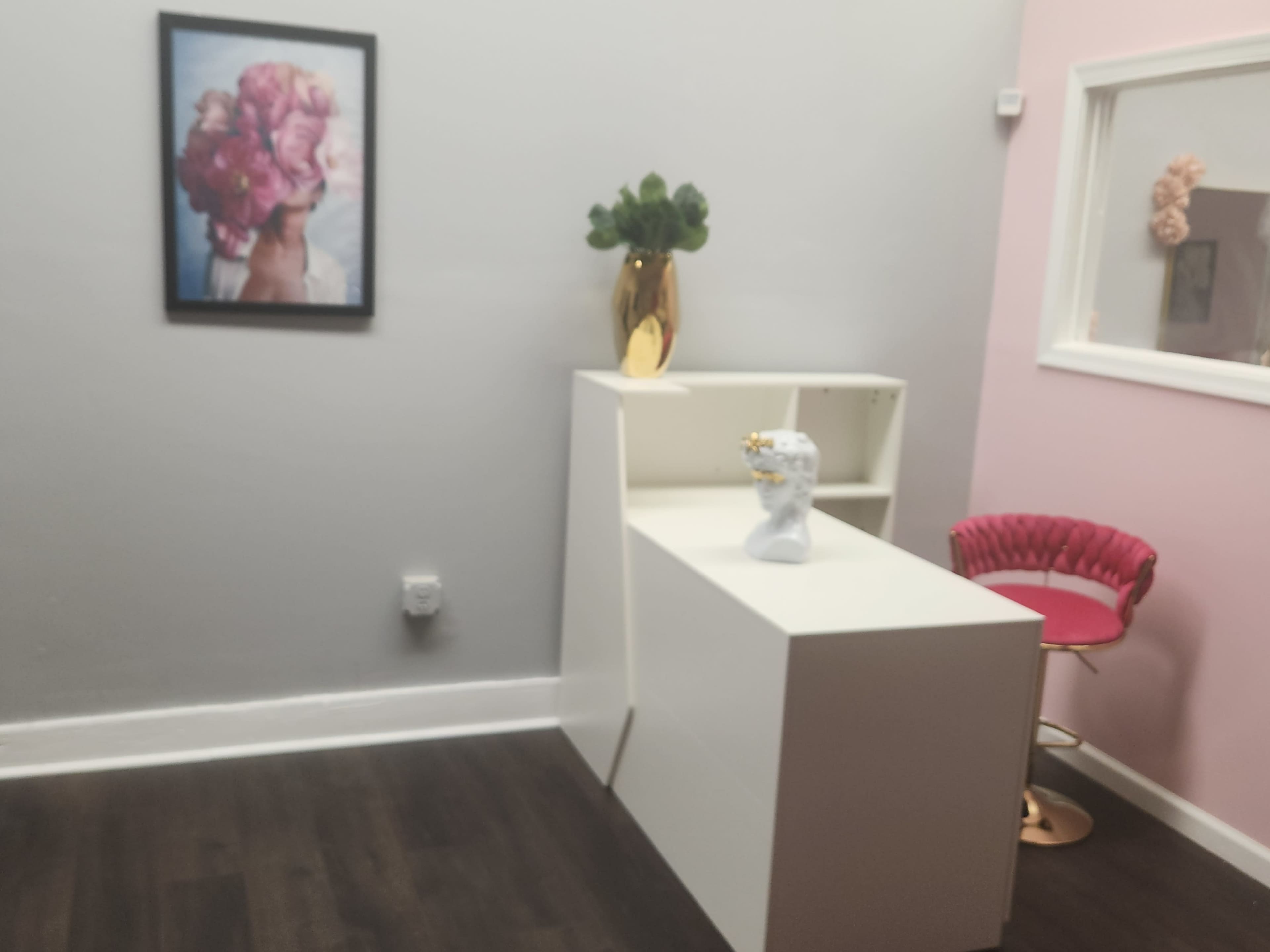 The image shows a room with a white reception desk, a pink chair, a vase with greenery, and a framed artwork on the wall.
