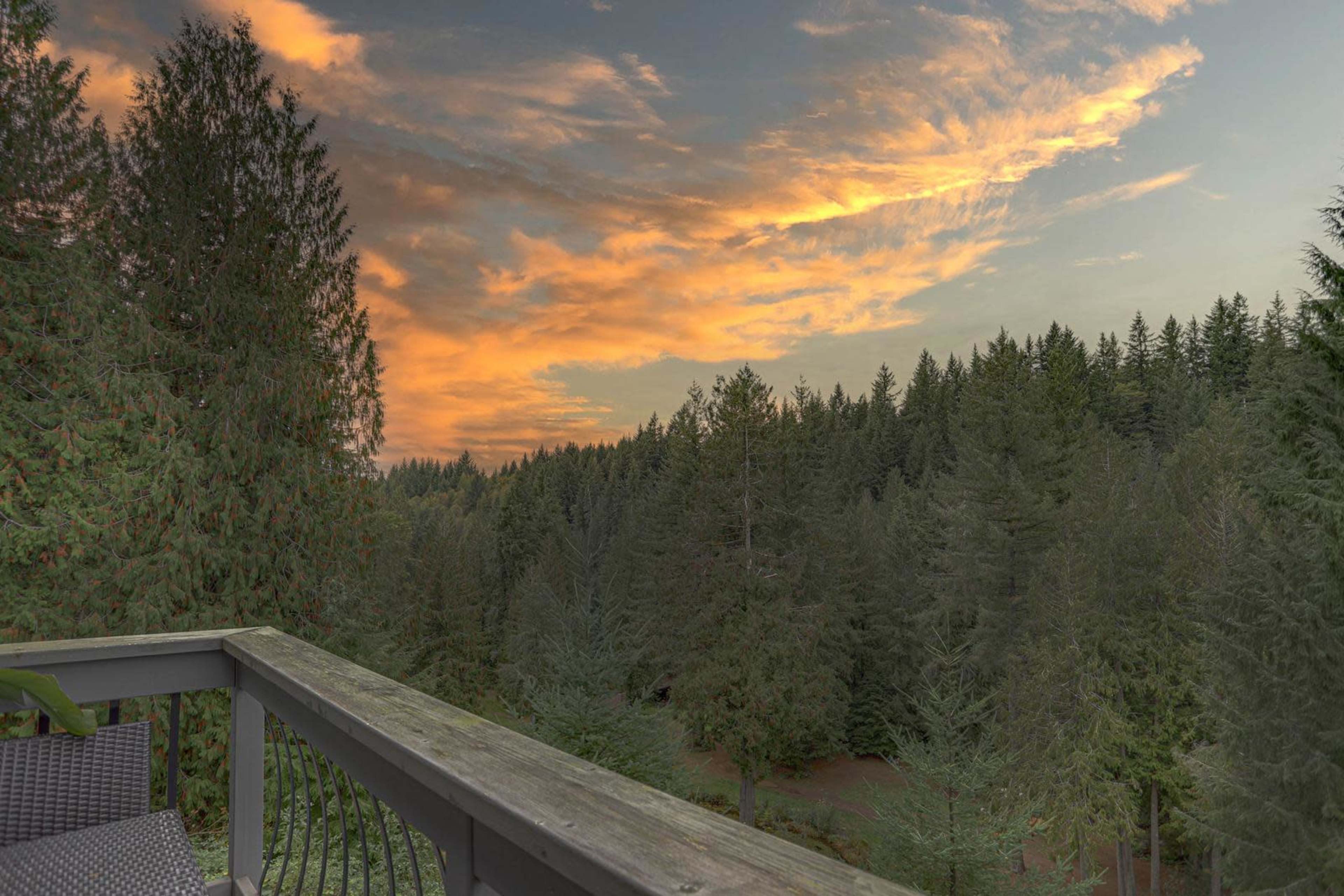 A wooden railing overlooking a dense forest under a colorful sky at sunset.