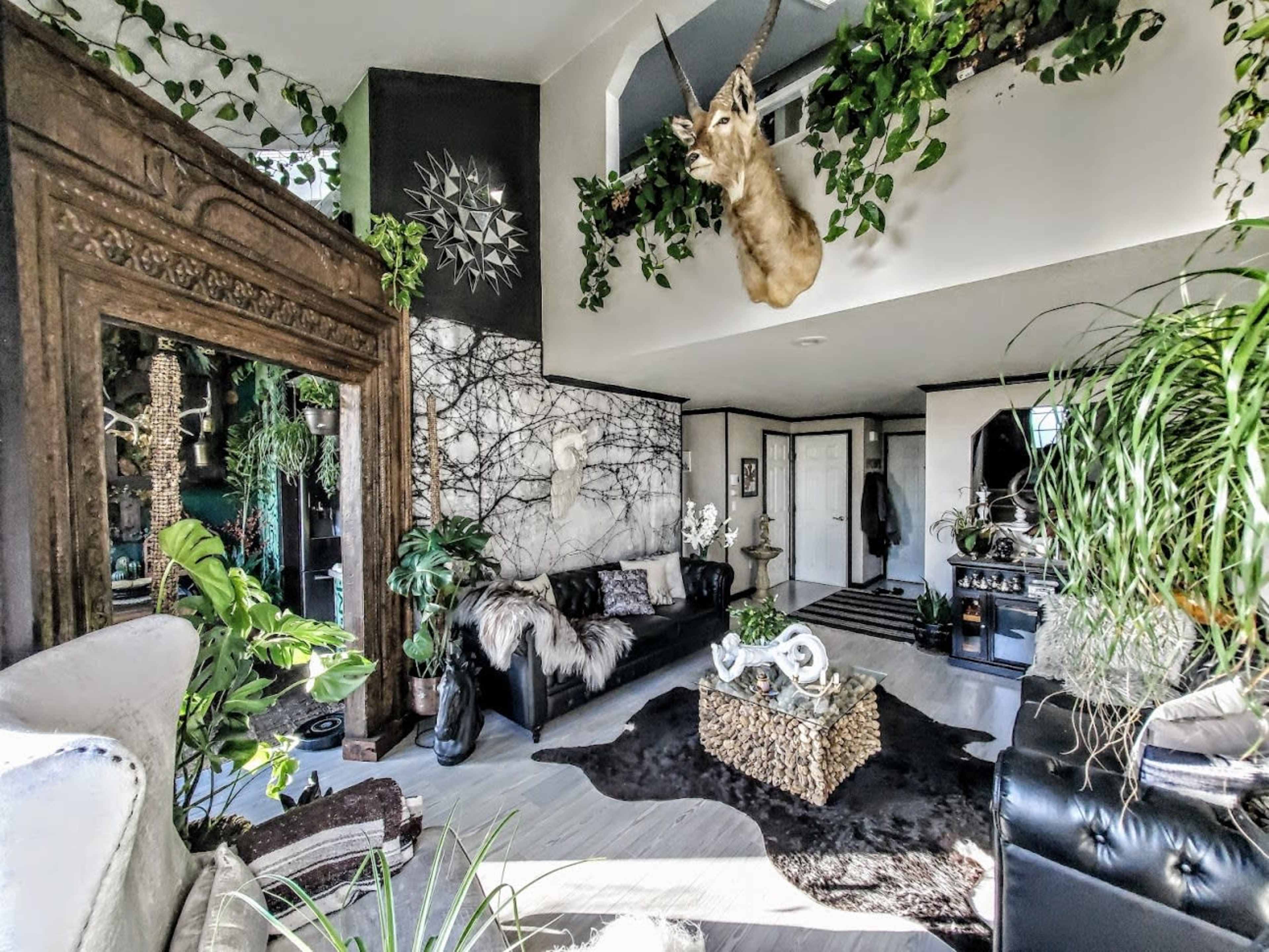 A stylish living room with dark furniture, a mounted deer head, and a variety of indoor plants, complemented by decorative elements on the walls.