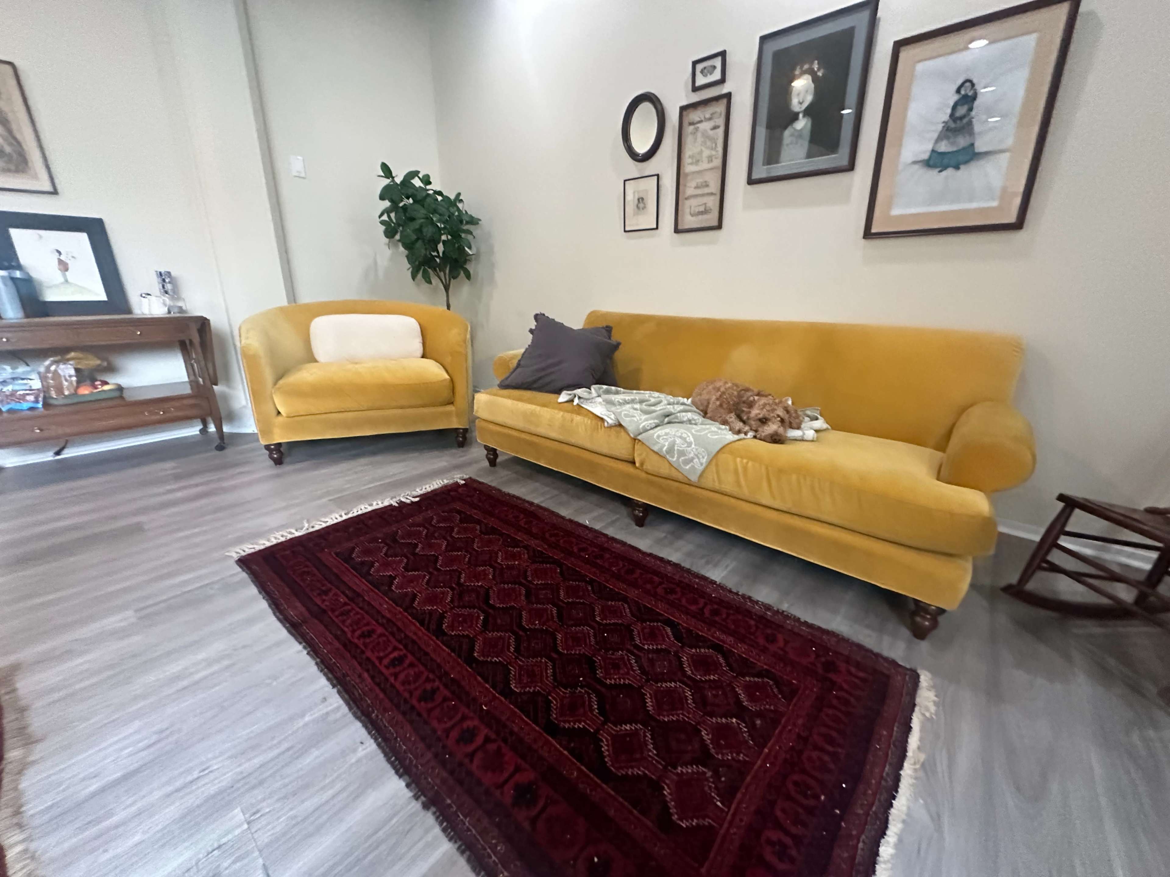 Cozy Main Line Loft with great light,  great space in the heart of Bryn Mawr Image in Lower Merion Township, Bryn Mawr, PA