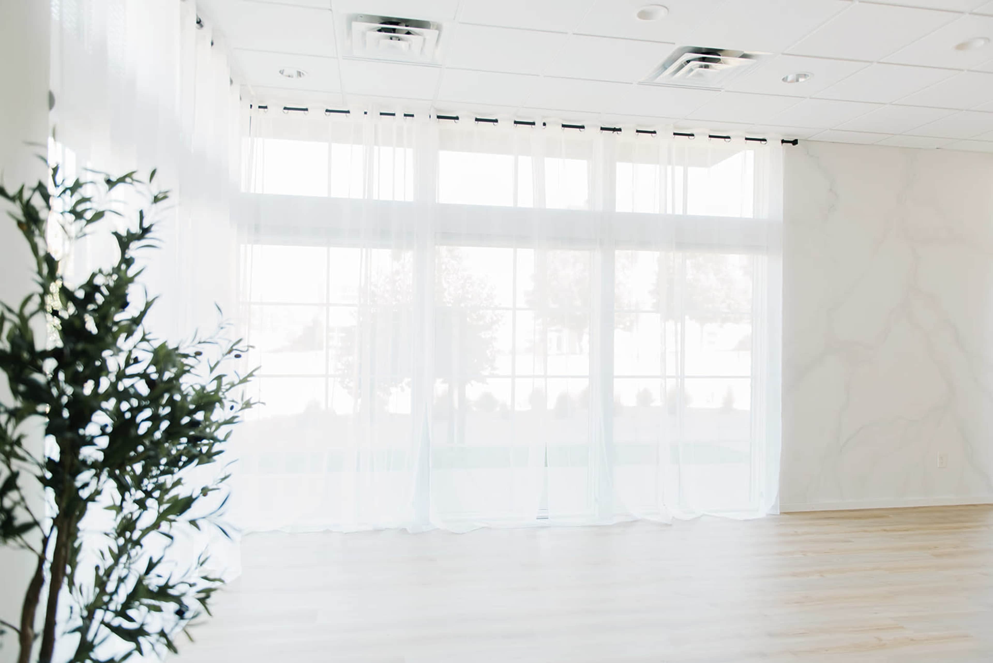 A bright room with large windows covered in sheer white curtains, featuring light wood flooring and a potted plant in the corner.