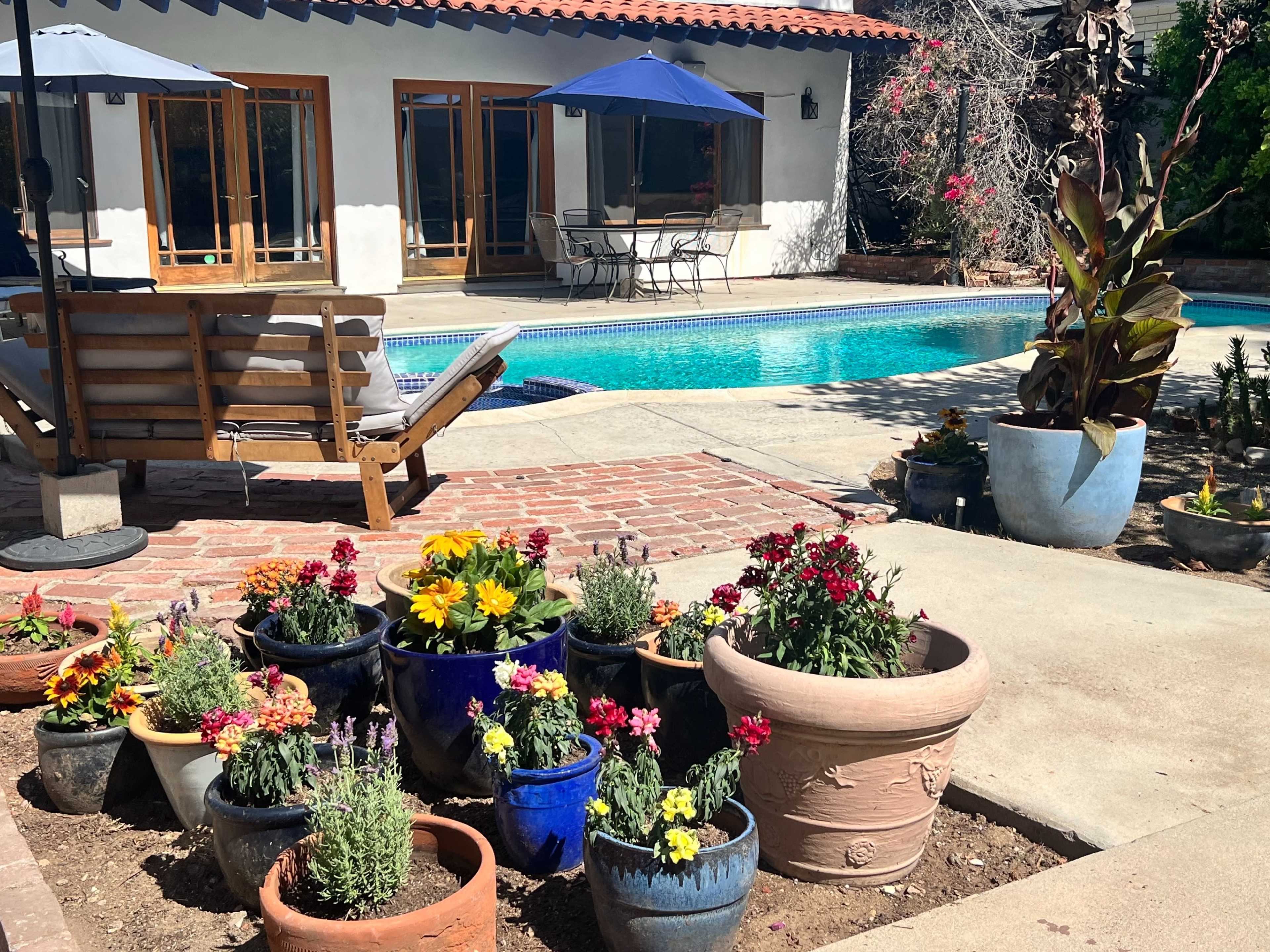 The image shows a backyard pool area with a patio, surrounded by various potted flowers and a wooden lounge chair.