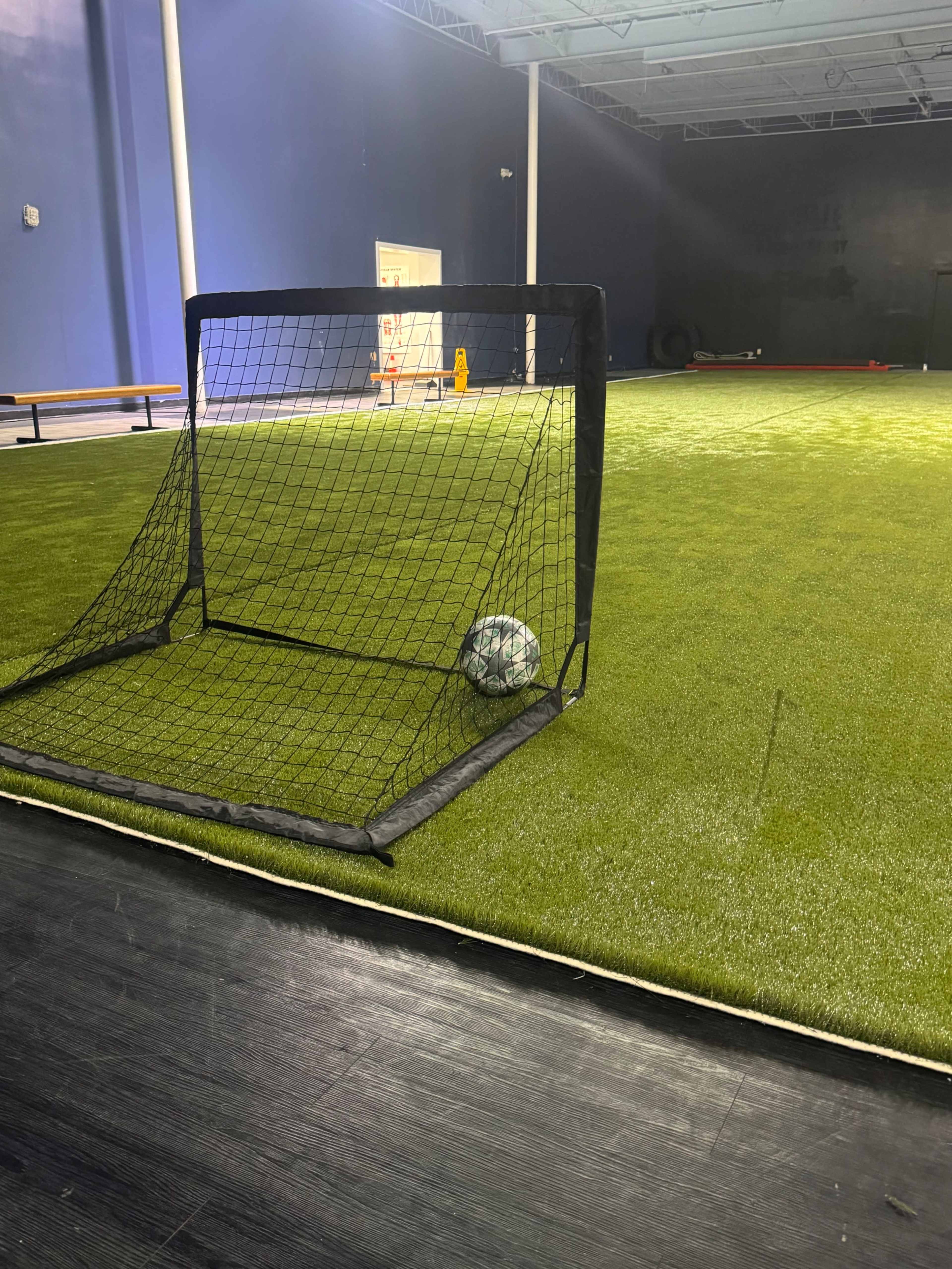 A soccer goal with a ball rests on a field of artificial turf indoors.