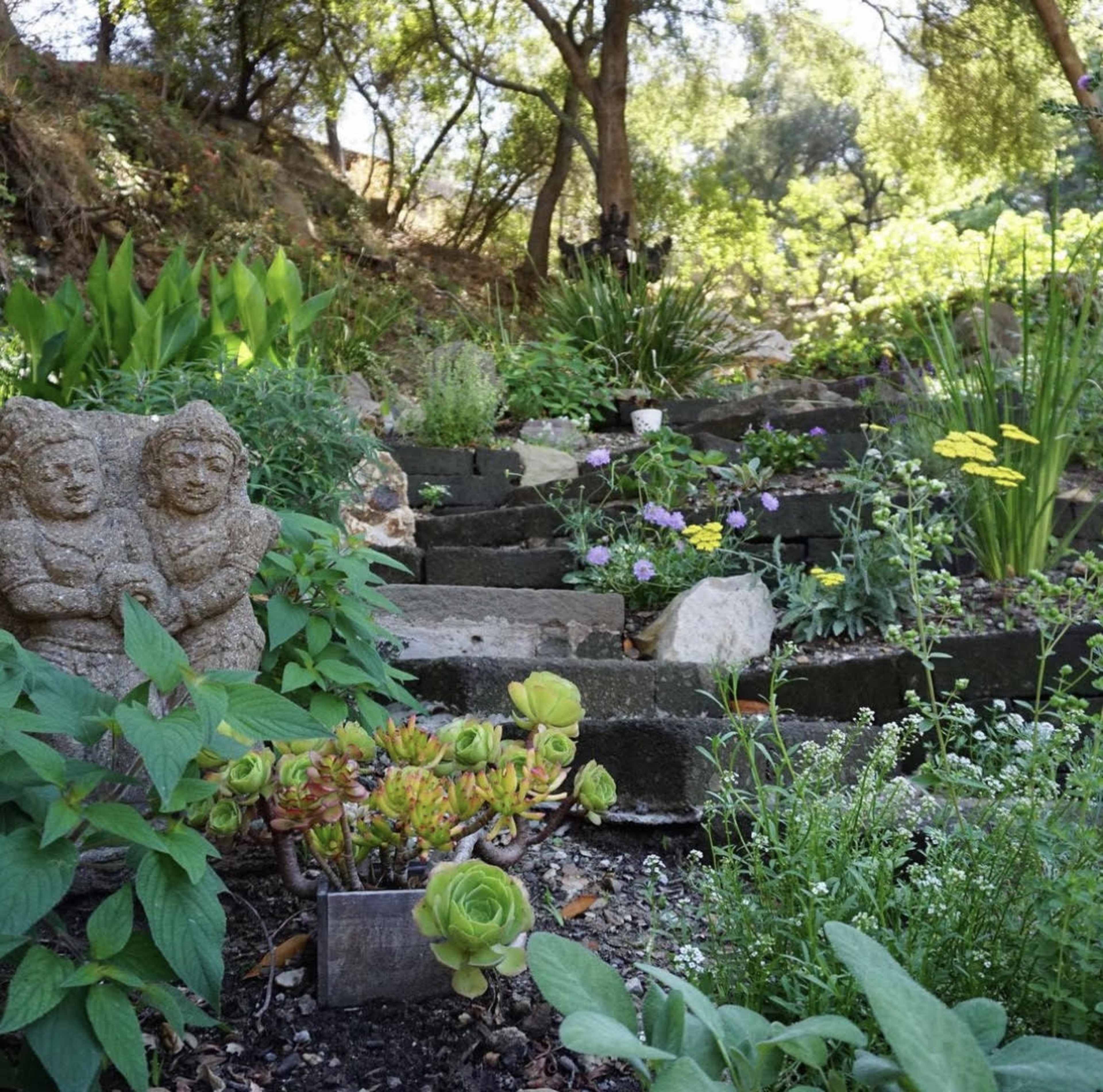 The image depicts a stone pathway lined with greenery and flowers, leading up a gentle slope in a garden setting.