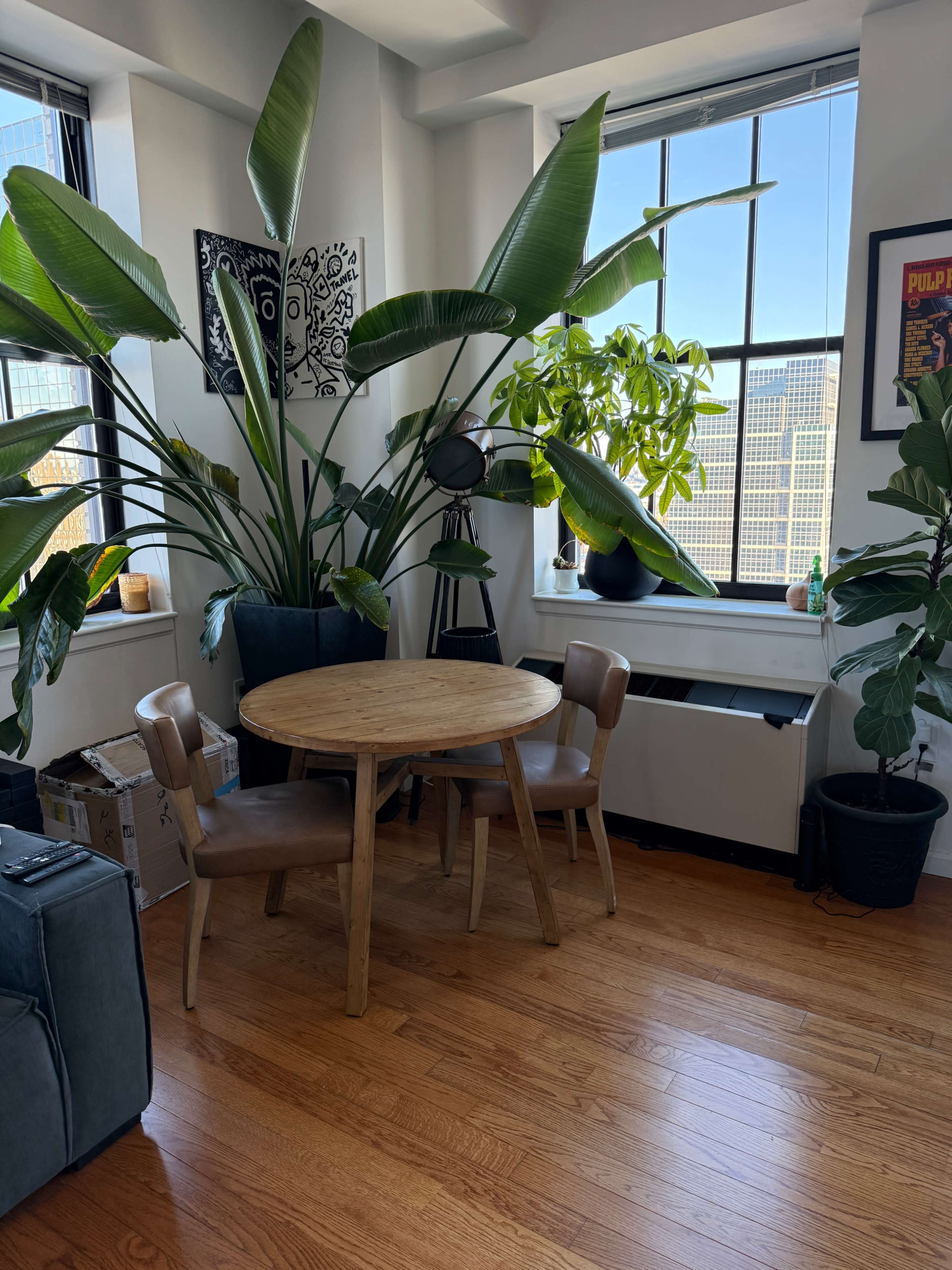A small wooden table with two chairs is situated near large indoor plants and a window in a bright room.
