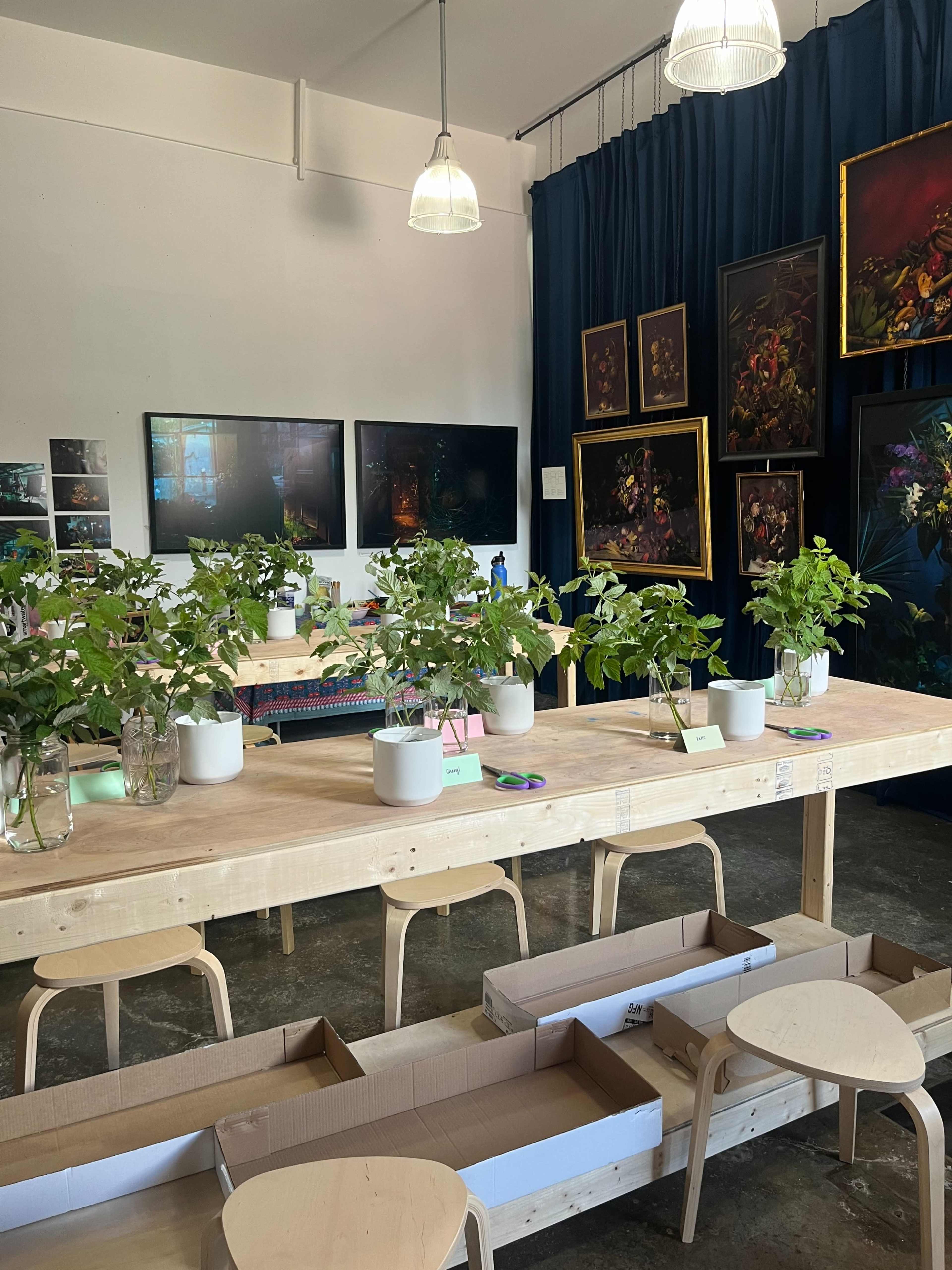 The image shows a well-lit room with a large wooden table featuring several potted plants, surrounded by minimalist furniture and colorful artwork on the walls.