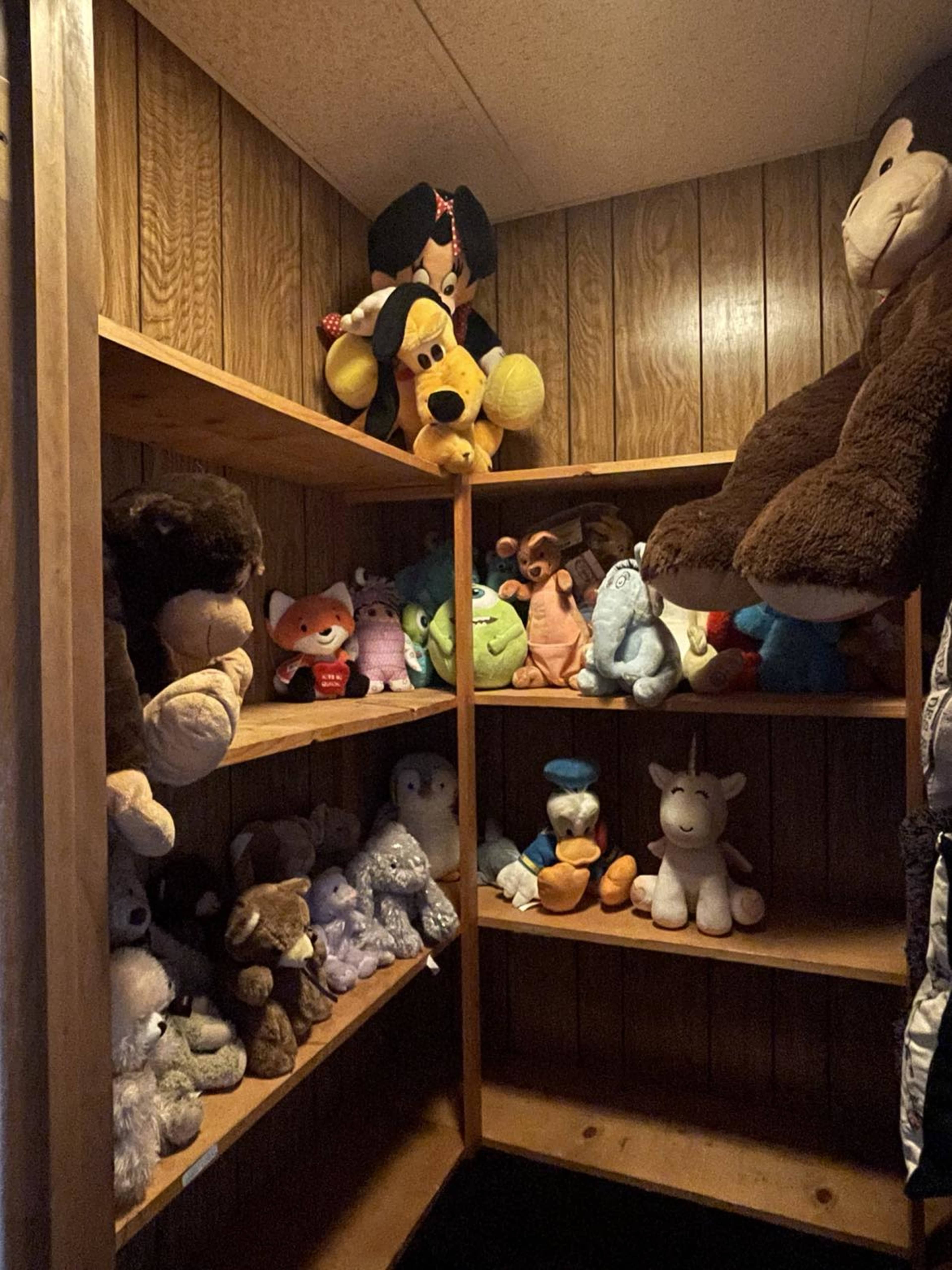 A wooden shelf holds a variety of stuffed animals arranged on multiple levels.