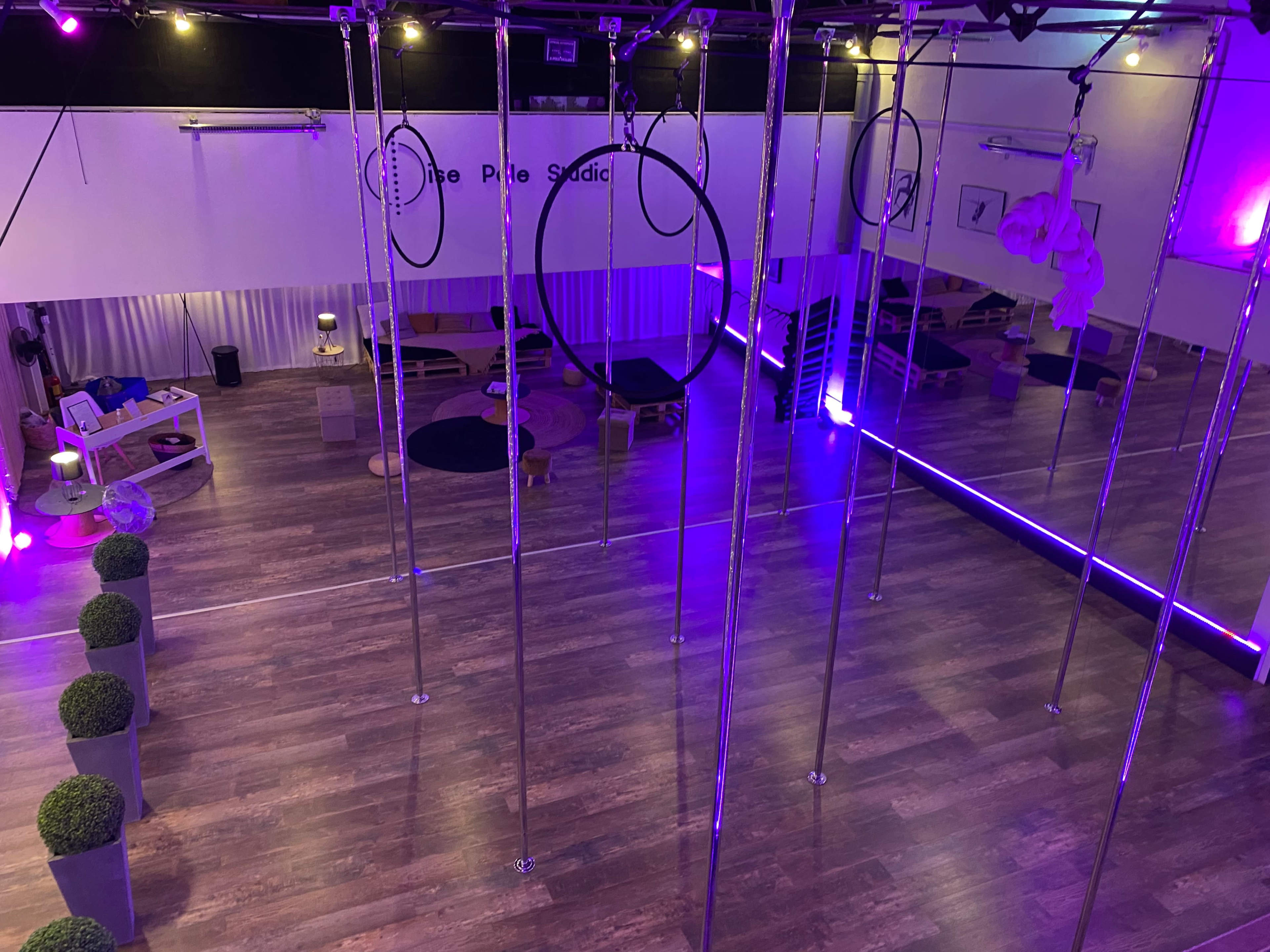 An aerial fitness studio with several vertical poles, dim lighting, and a purple hue.