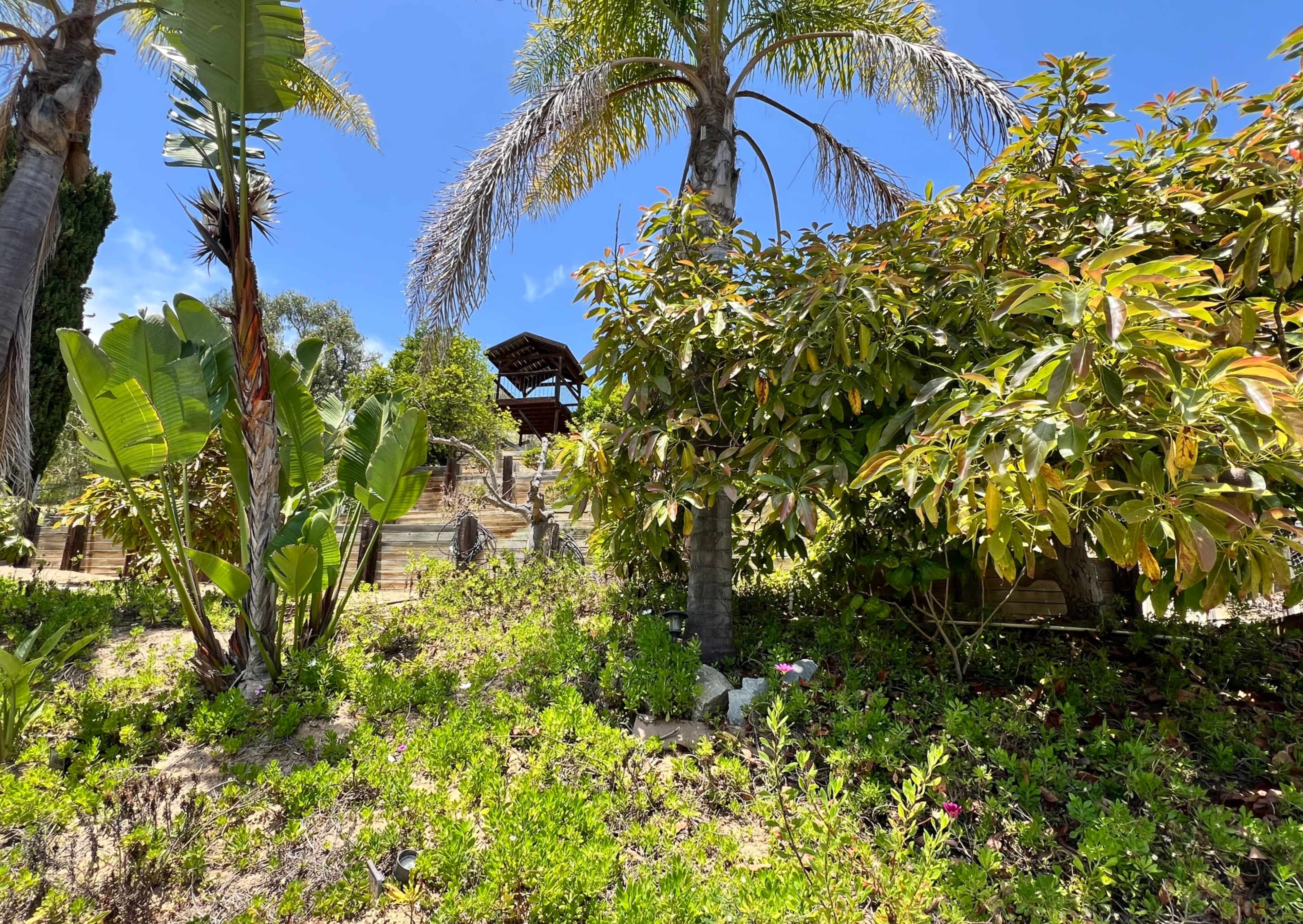 Lush Tranquil Yard With Pool and Views Image in Camarillo, Camarillo, CA