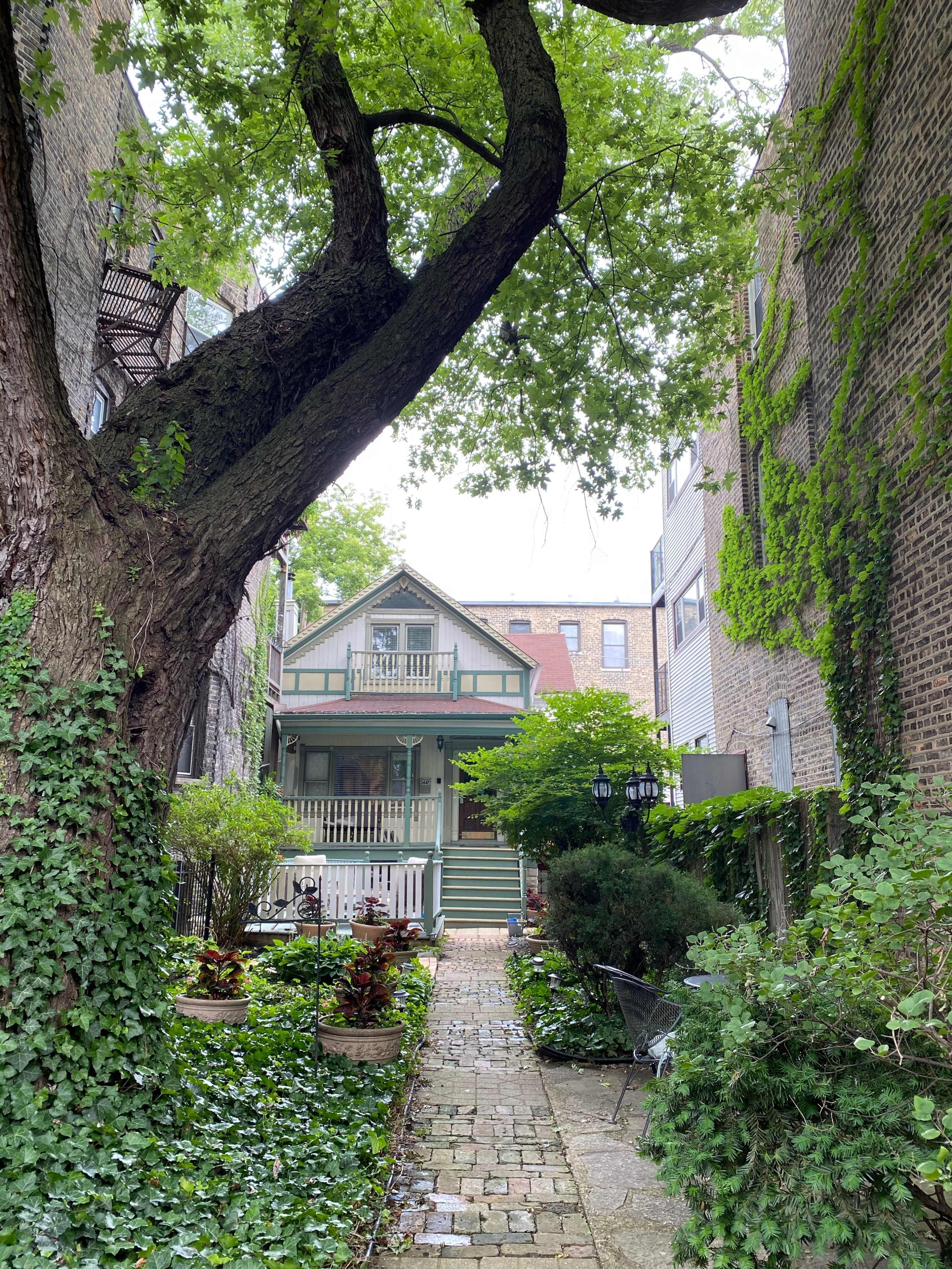 A narrow, leafy path lined with greenery leads to a wooden house nestled between tall buildings.