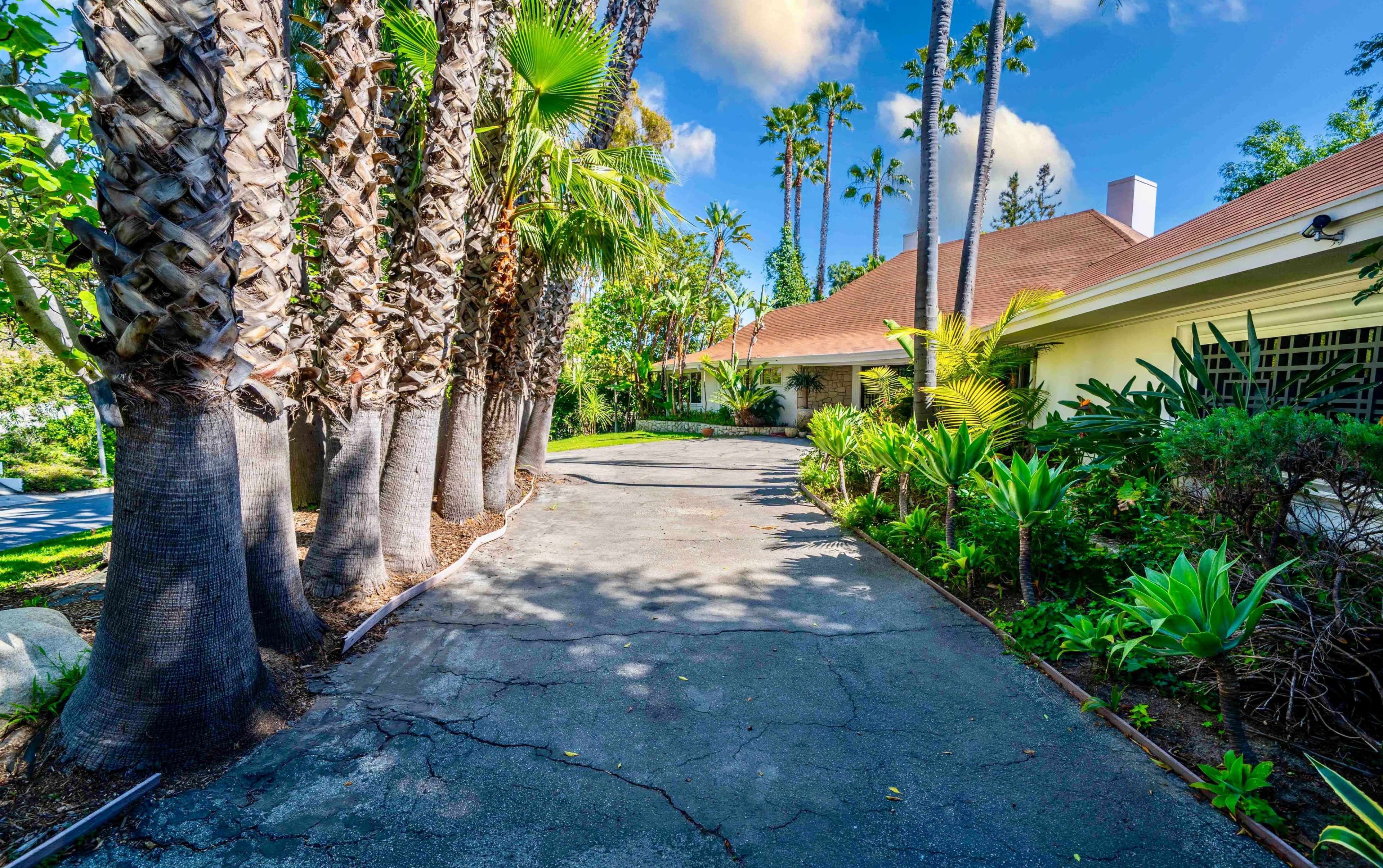 Vintage Hollywood Vibes – Secluded Palm-Lined Mid-Century Pool Oasis Wrapped In Lush Greenery – A Filmmaker’s Dream! Image in Beverly Hills, Beverly Hills, CA