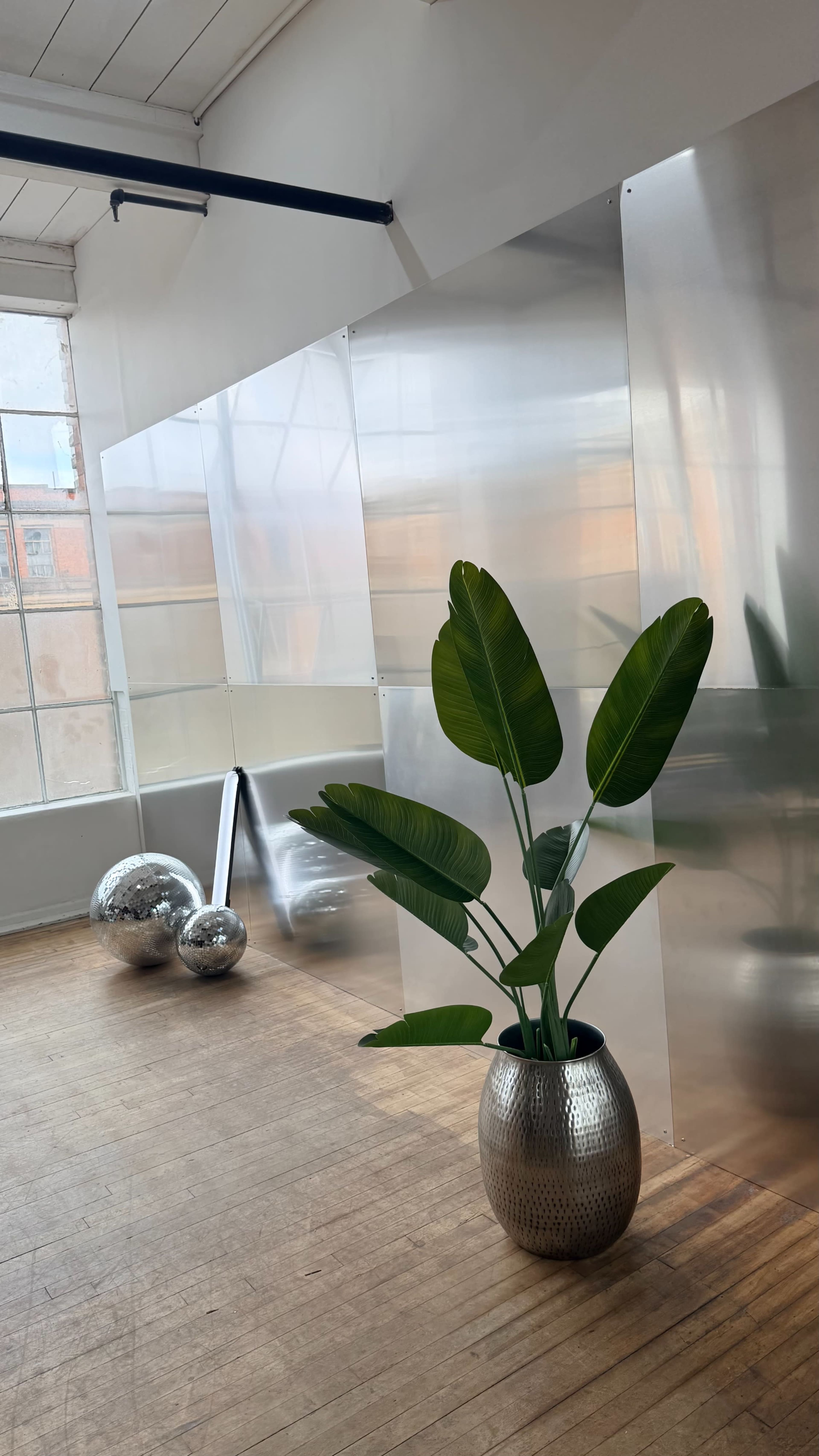 The image depicts an indoor space featuring a potted plant with large green leaves alongside reflective silver objects and a wall made of transparent material.