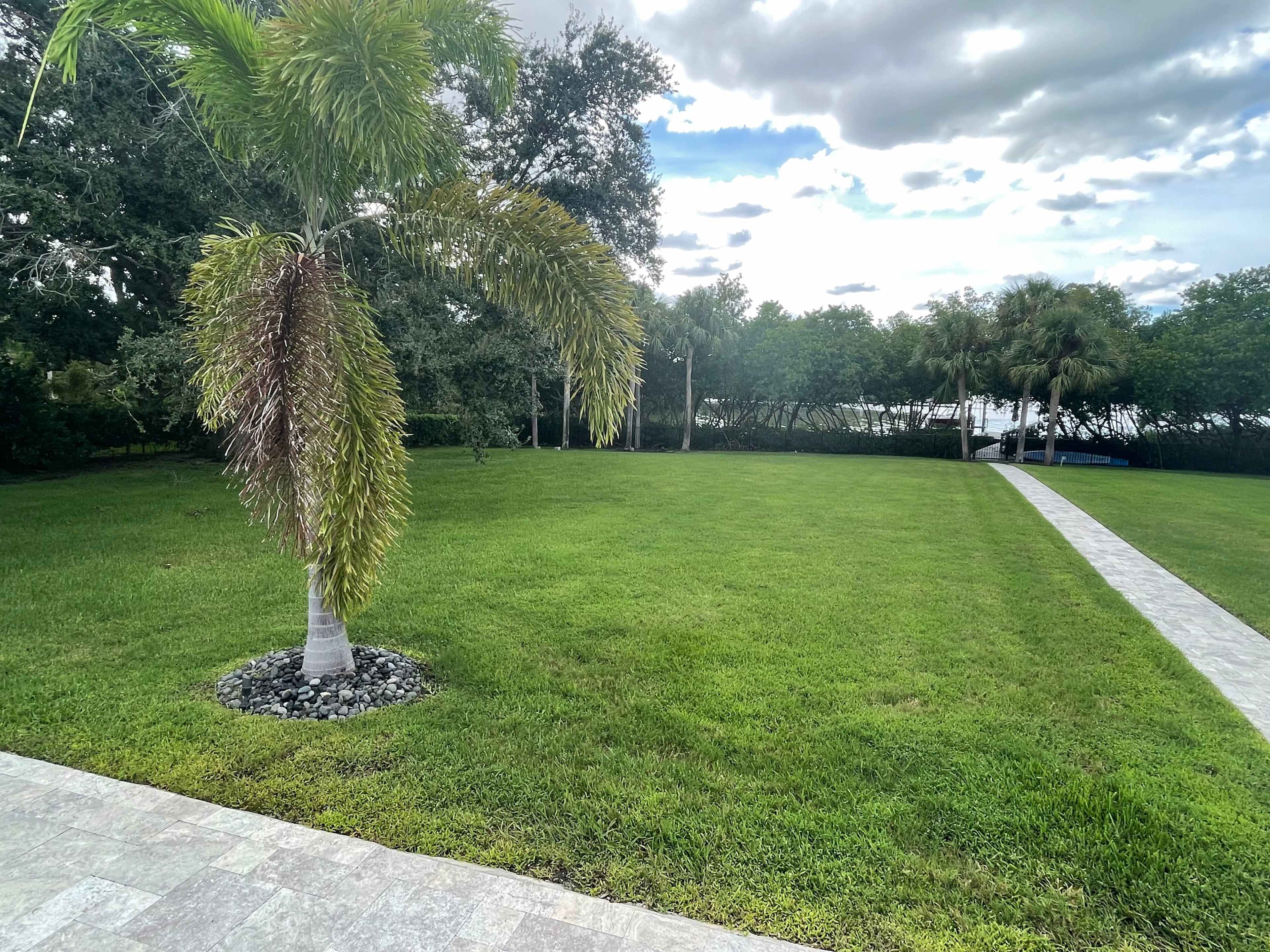 A landscaped area features a palm tree and a stone pathway leading through a grassy lawn, framed by trees in the background.