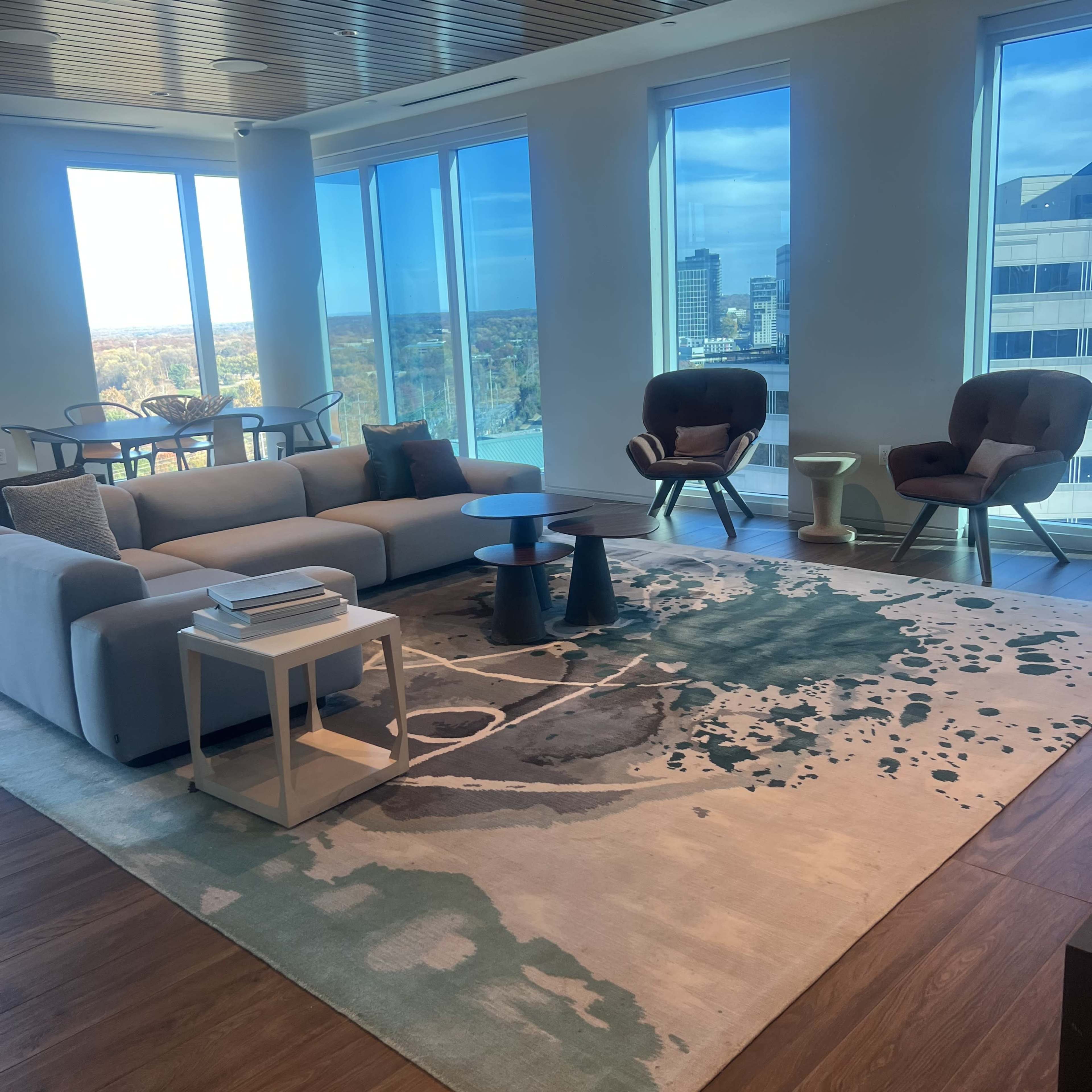 Modern Clubroom Lounge w/ Skyline Views Image in Hunter Mill District, Reston, VA