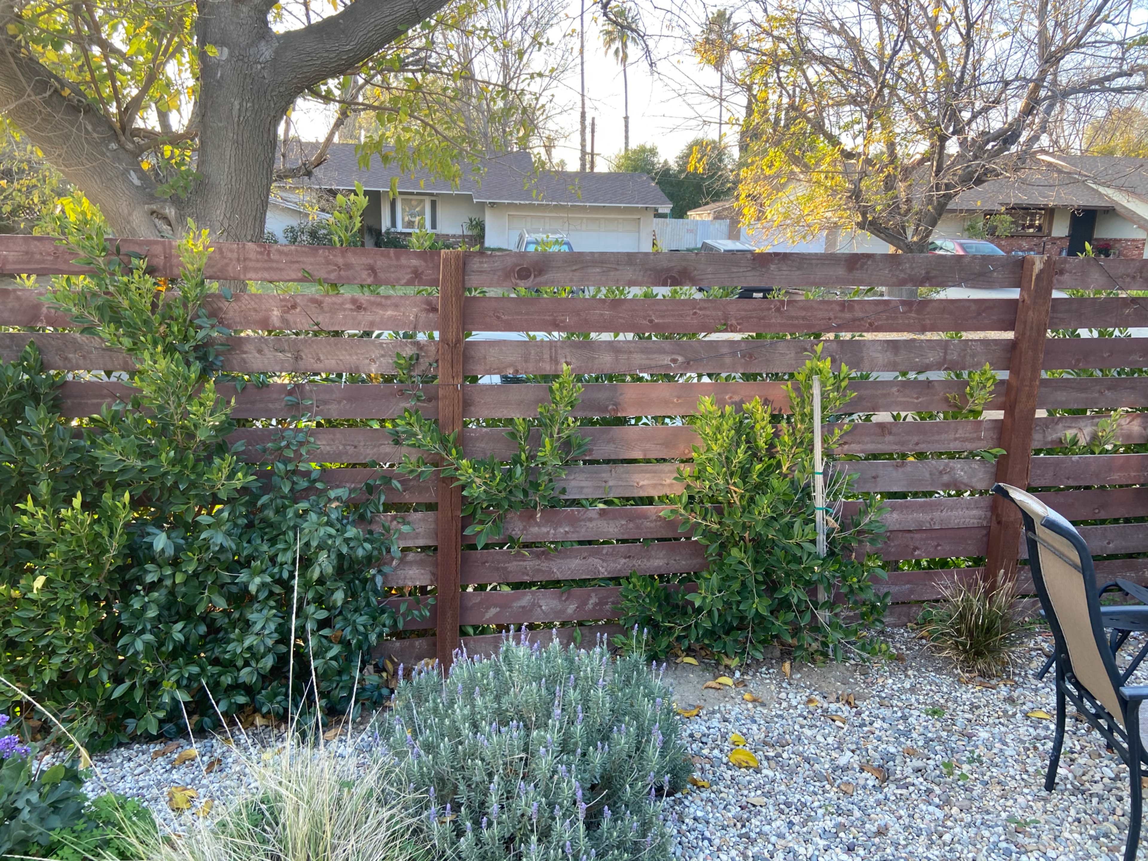 The image shows a wooden slatted fence surrounded by greenery and gravel in a backyard setting.