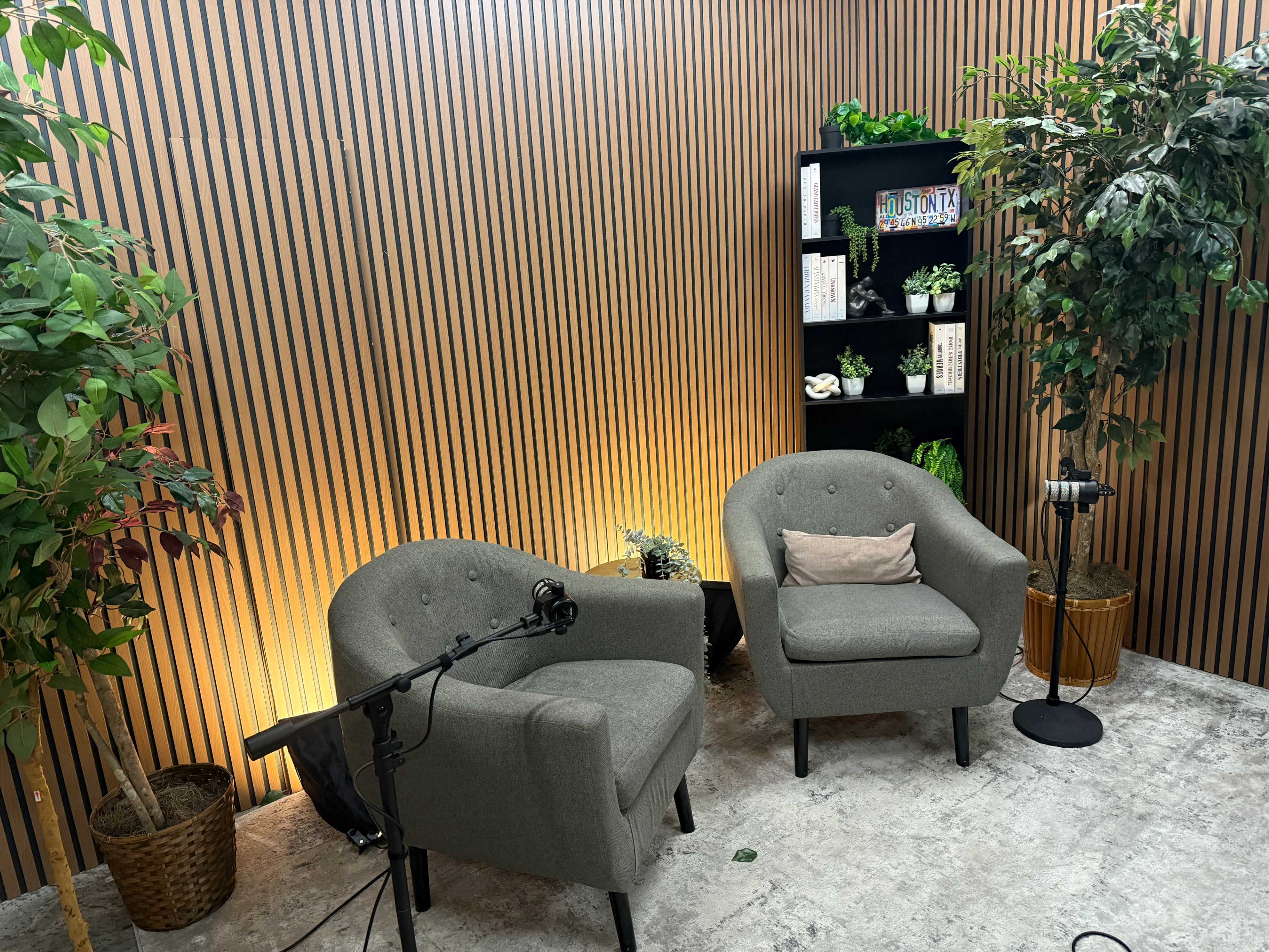 The image shows a cozy podcast or interview setup with two gray chairs situated against a wooden slat background, accompanied by a microphone and decorative plants.