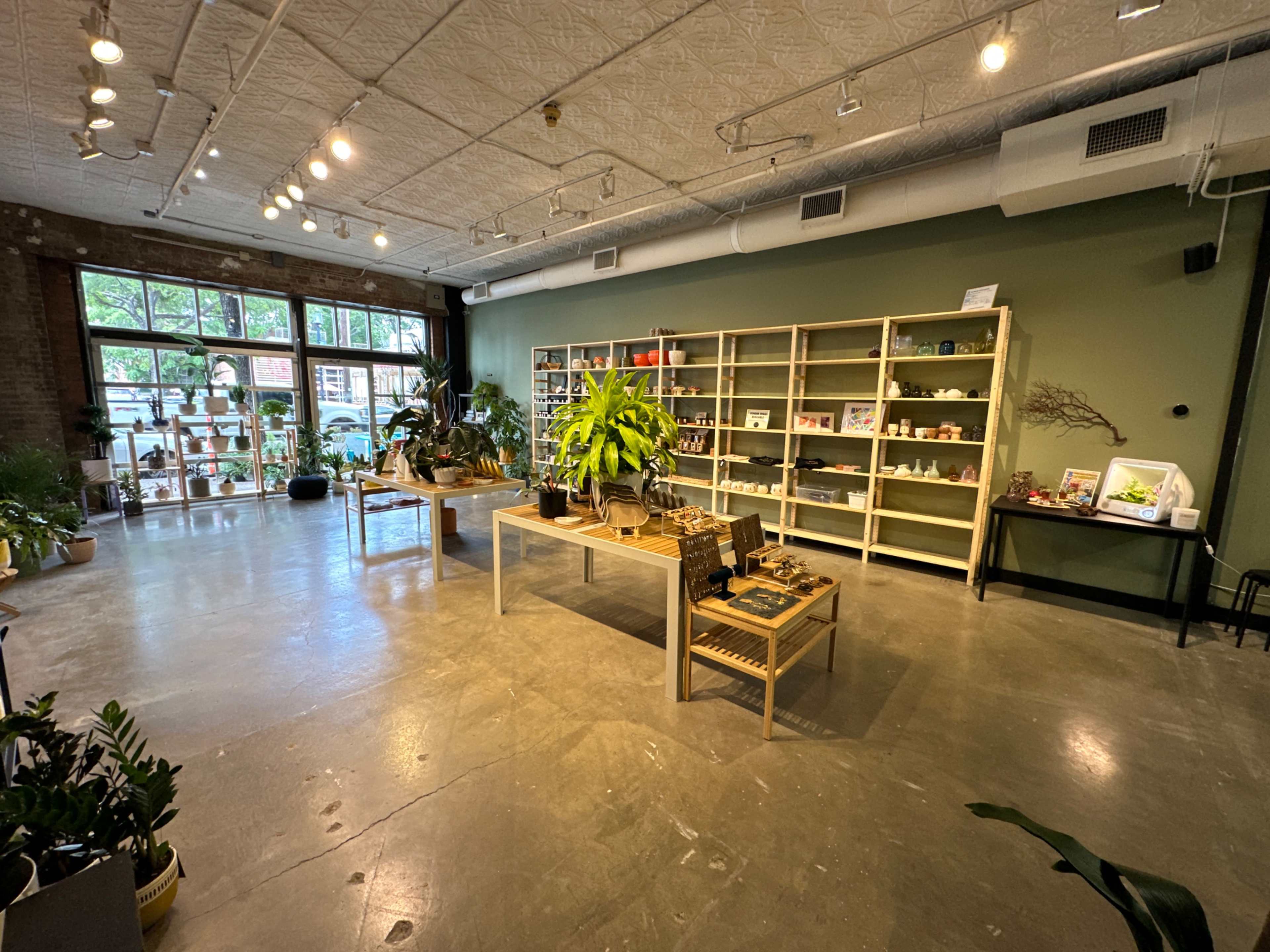 A modern retail space with wooden shelving displaying various products and plants arranged on tables against a green wall.