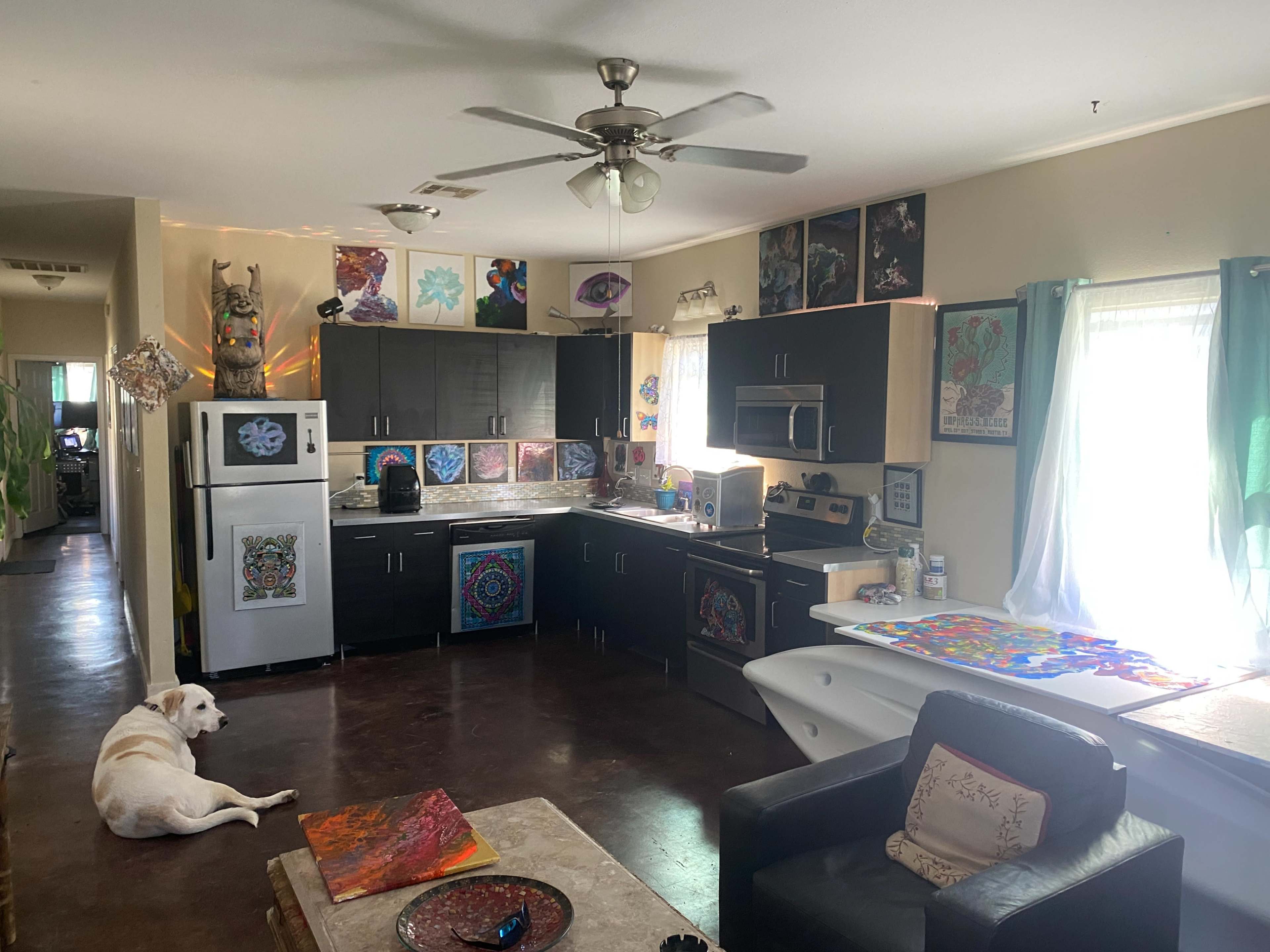 The image shows a kitchen and living area with black cabinets, a white dog lying on the floor, and various colorful decorations on the walls.