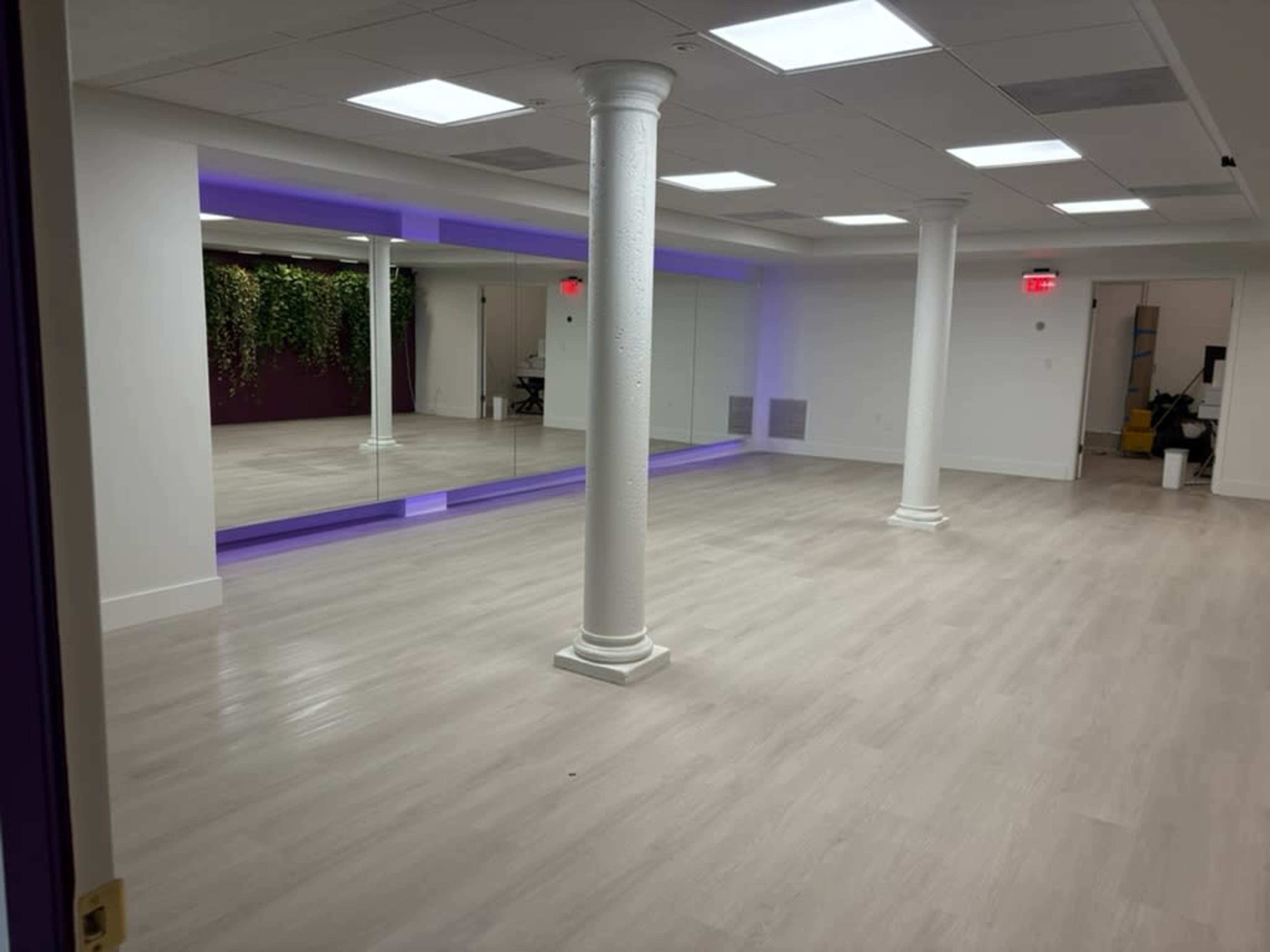 The image shows a spacious, empty room with light-colored flooring, white walls, and two columns, featuring a mirrored wall and a section of green plants in one corner.