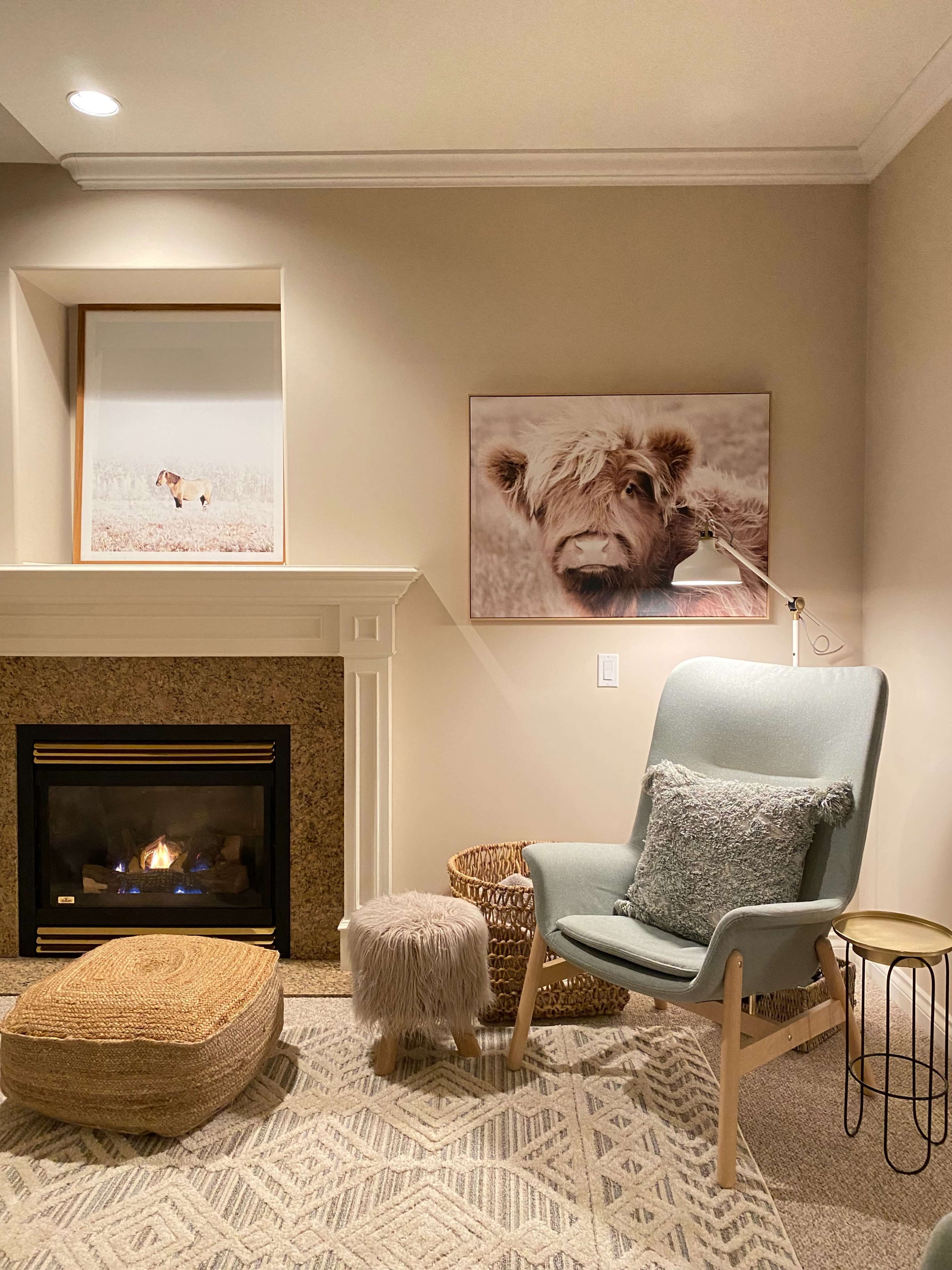 The scene features a cozy seating area with a light blue chair, a small ottoman, a furry stool, a woven basket, and framed animal photographs above a stone fireplace with a lit flame.