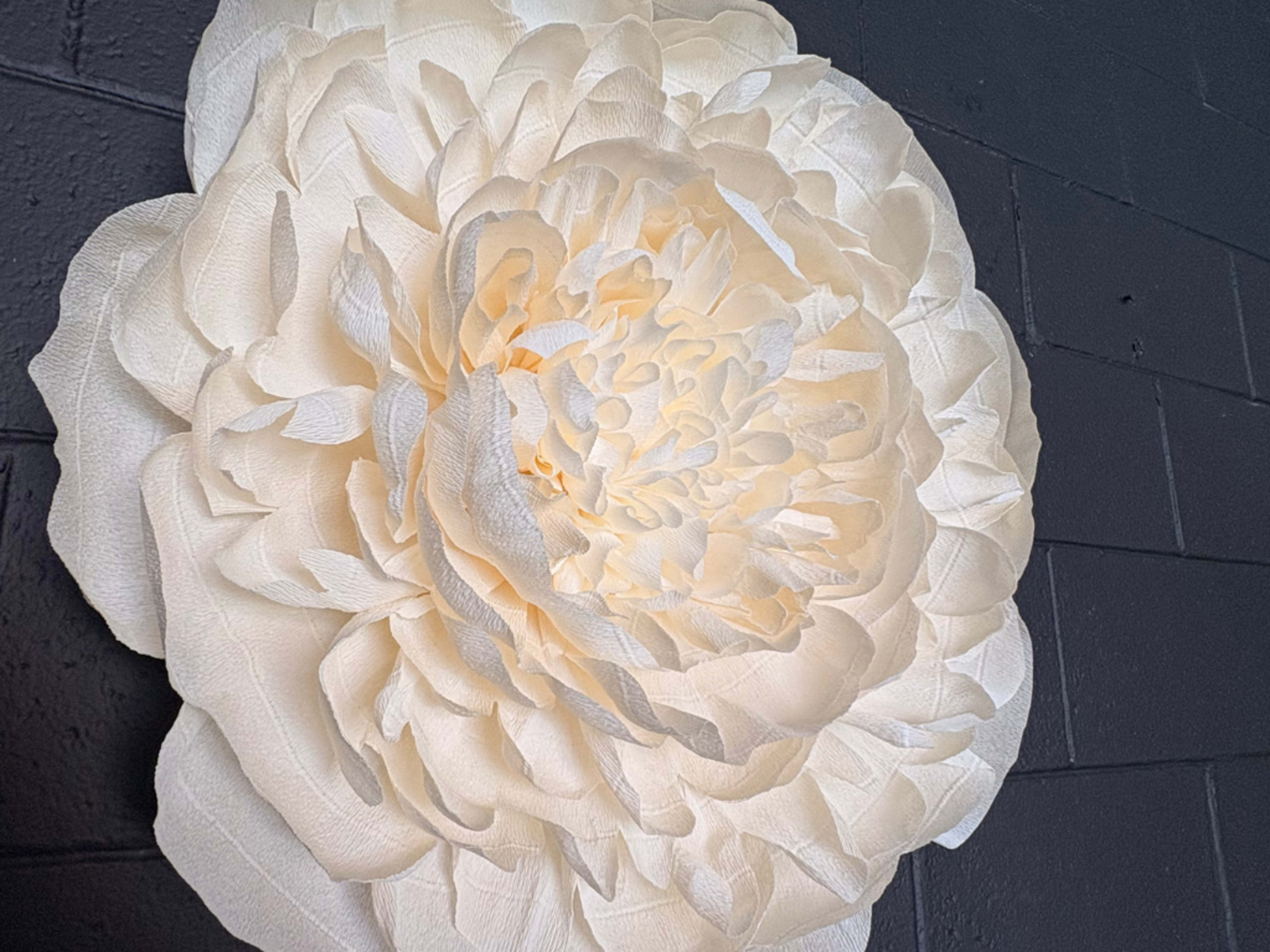 A large, white paper flower with intricate petal layers is displayed against a dark gray wall.
