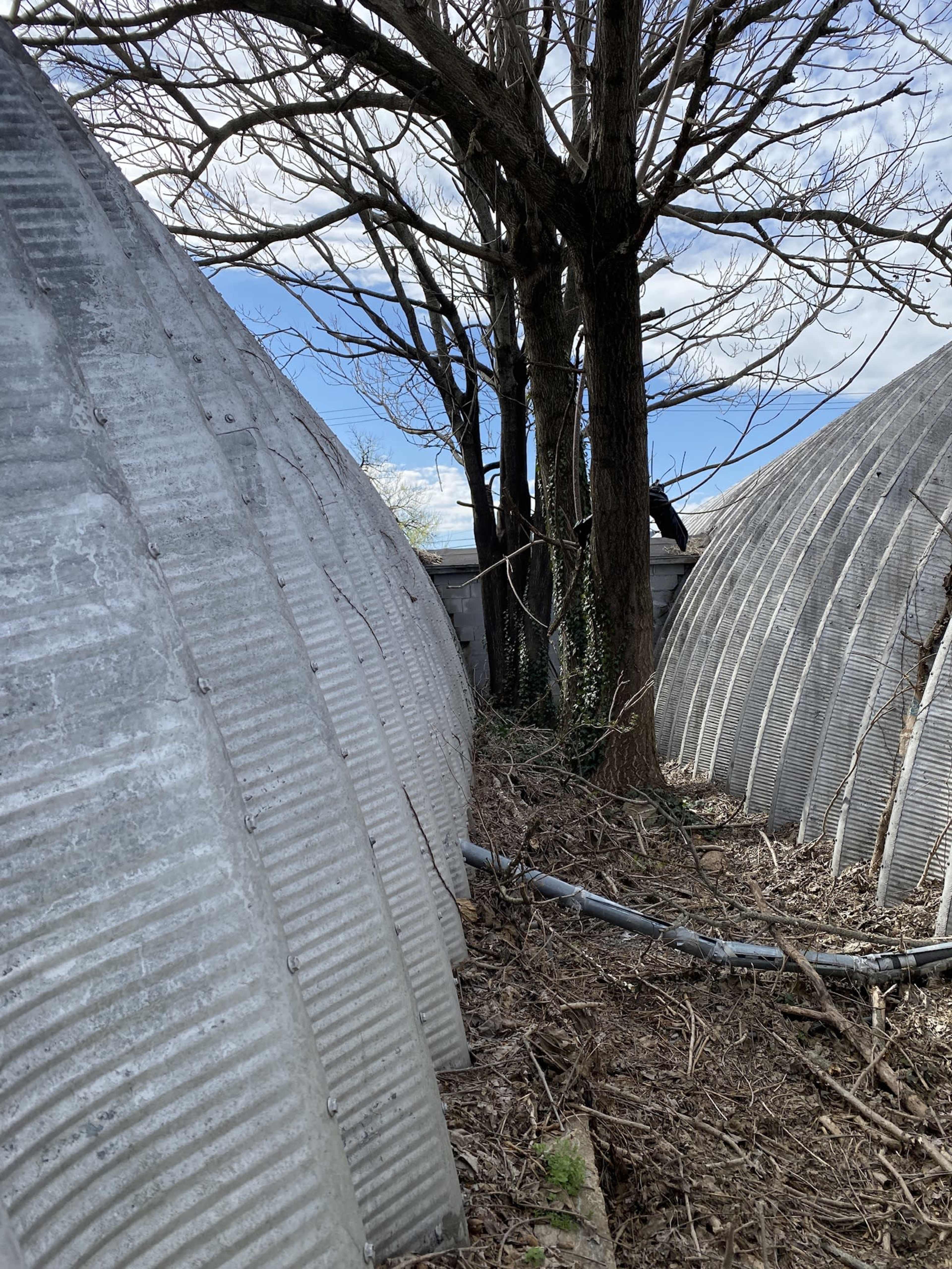 Two large, corrugated metal structures positioned near a tree, set against a cloudy sky.