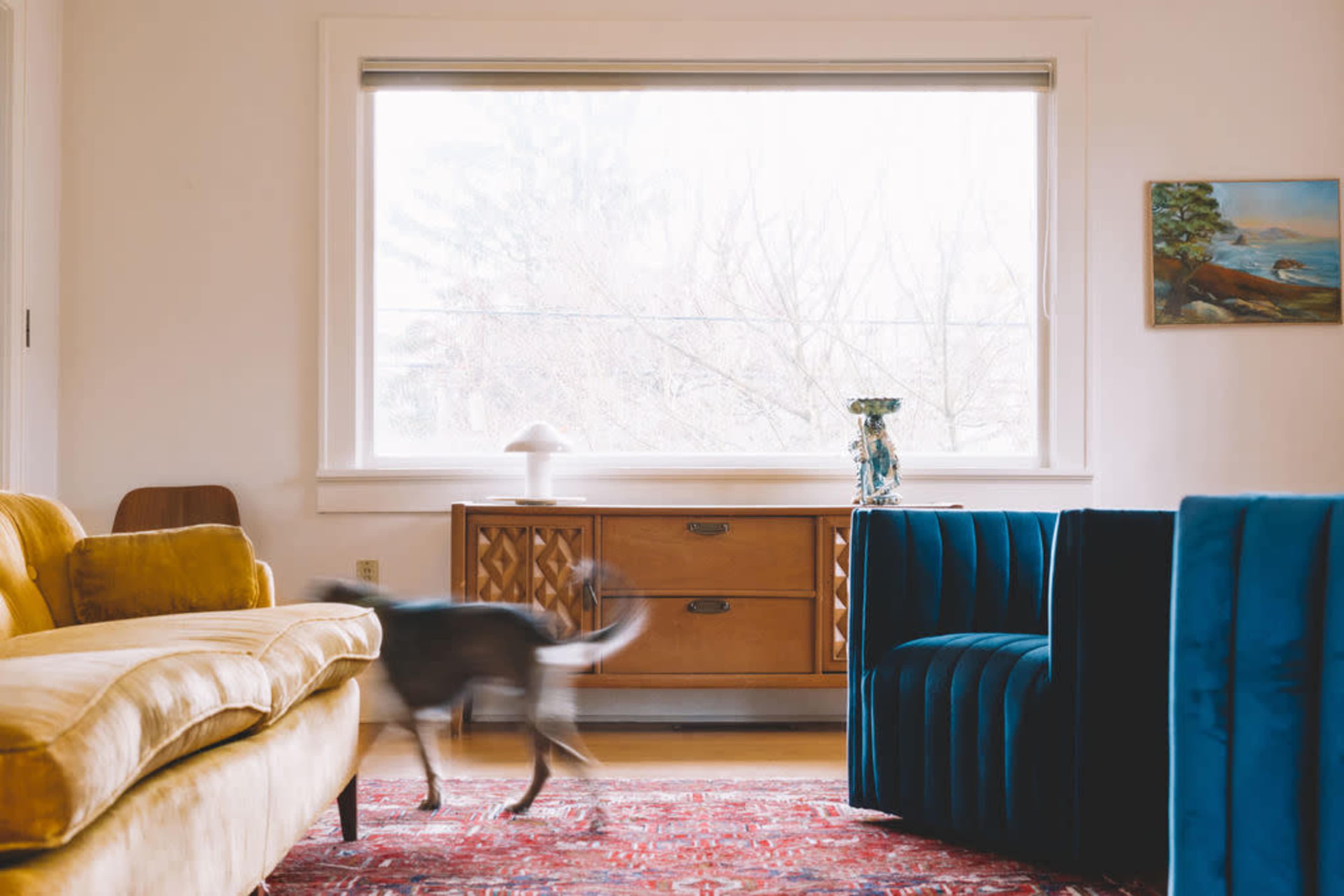 Eclectic and curated family home with magical oversize garden lot Image in Southeast Portland, Portland, OR