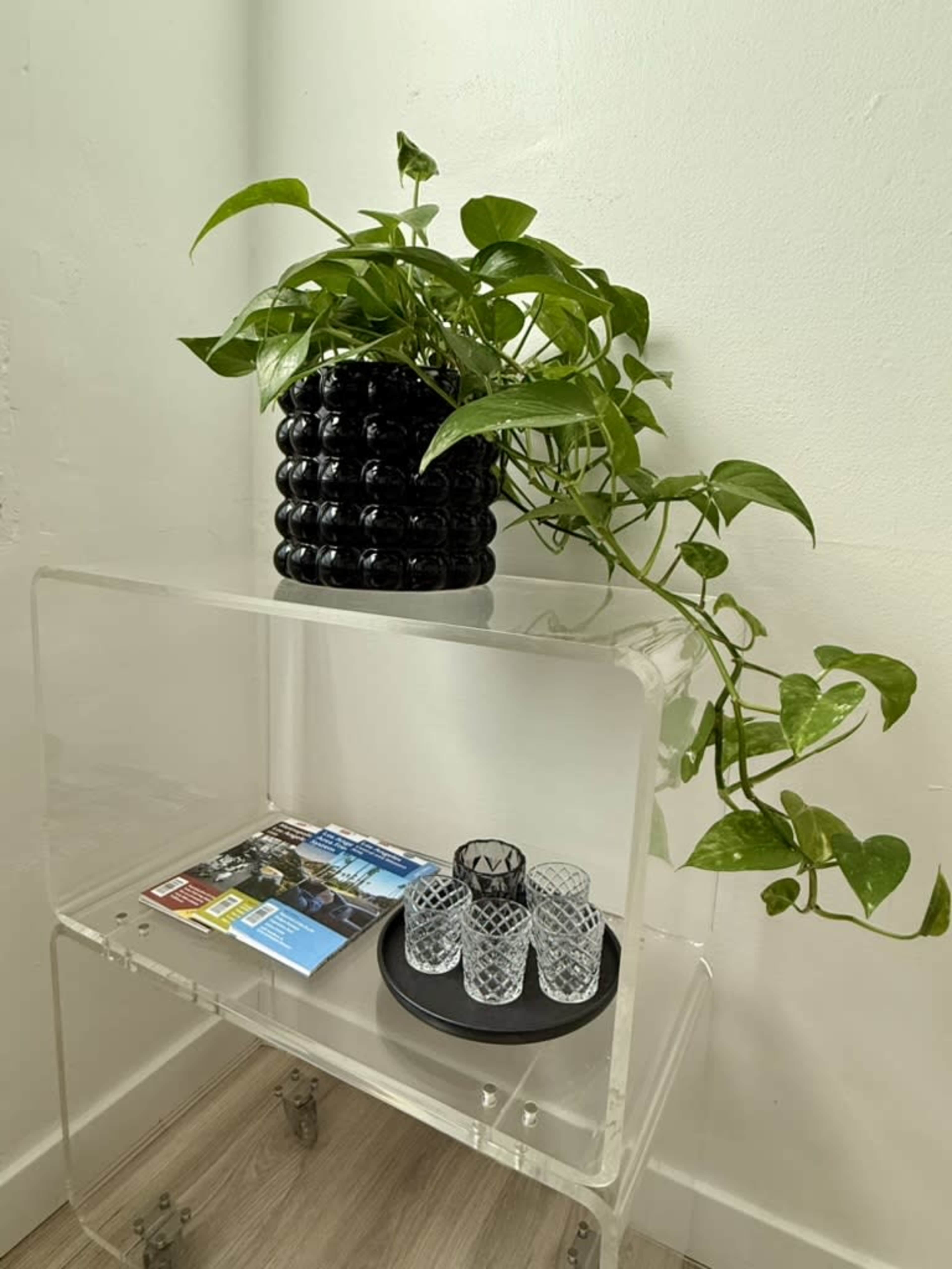 A clear, acrylic shelf holds a black planter with a green plant, magazines, and several glass cups on a black tray.