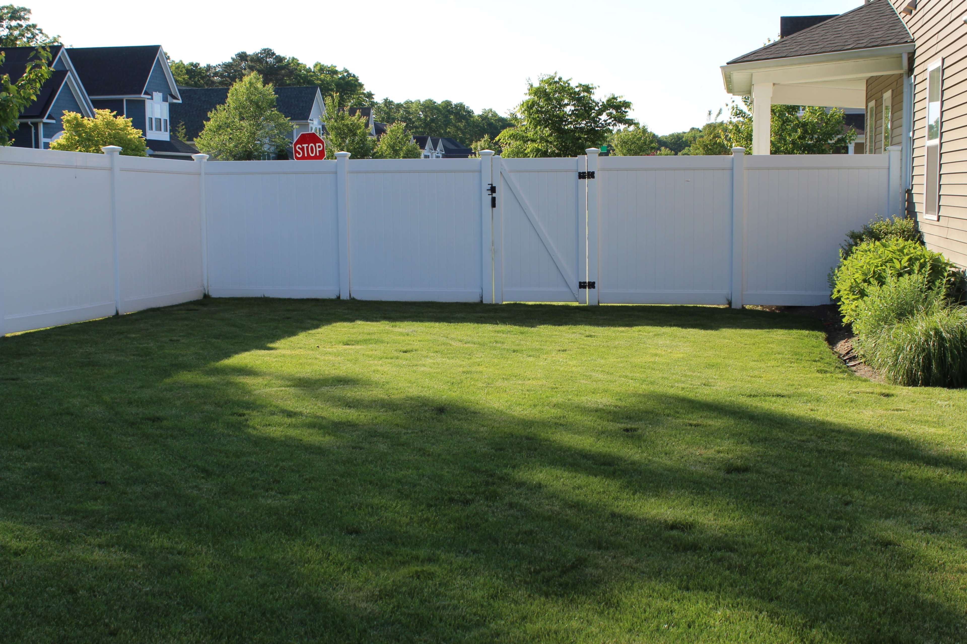A grassy backyard is enclosed by a white vinyl fence, featuring a gate and a stop sign visible through the opening.