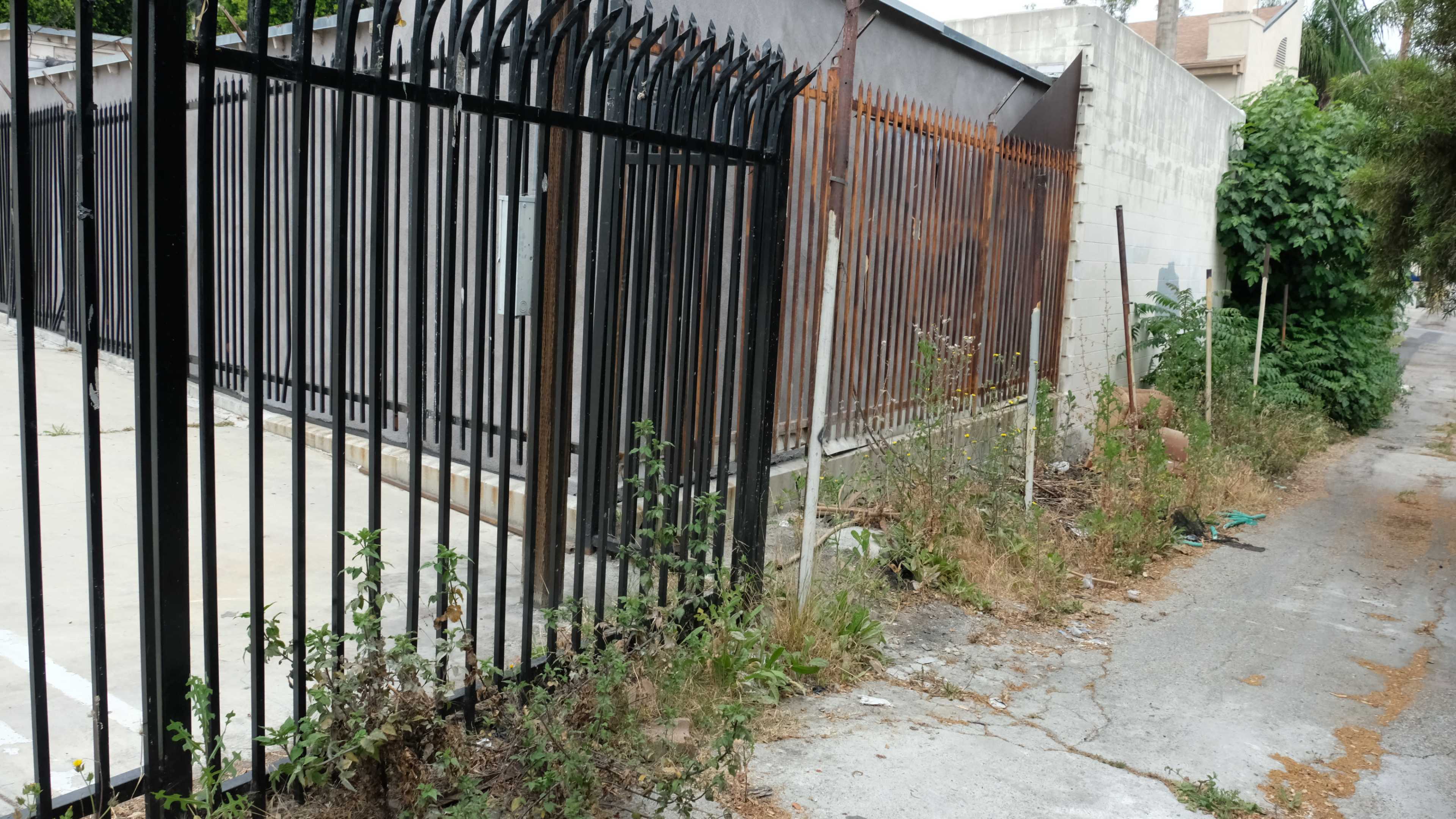 A narrow path next to a fenced area with overgrown weeds and an adjacent wall.