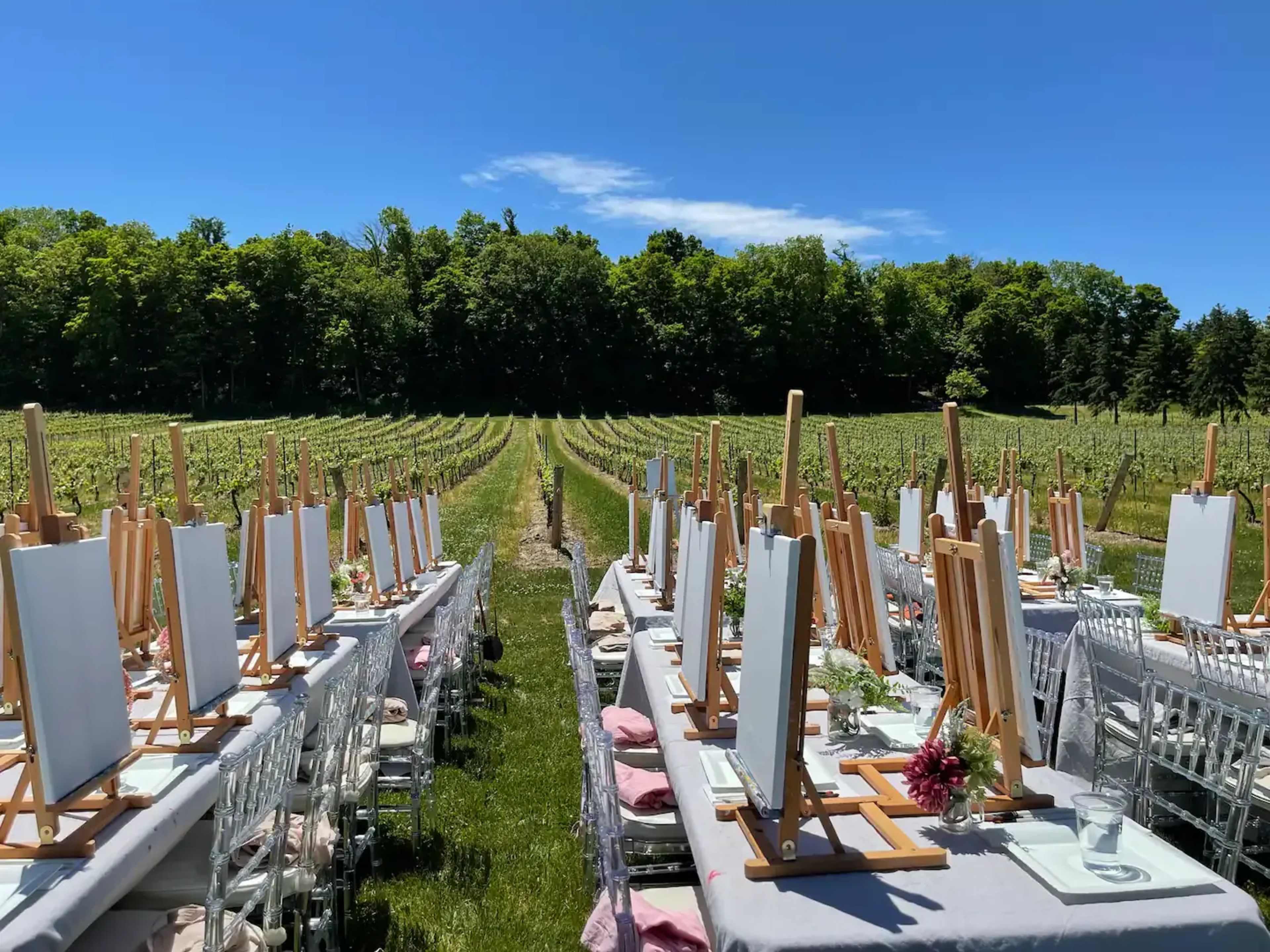 A long outdoor dining setup with blank easels on each table is arranged in a vineyard, surrounded by green trees and rows of grapevines under a clear blue sky.