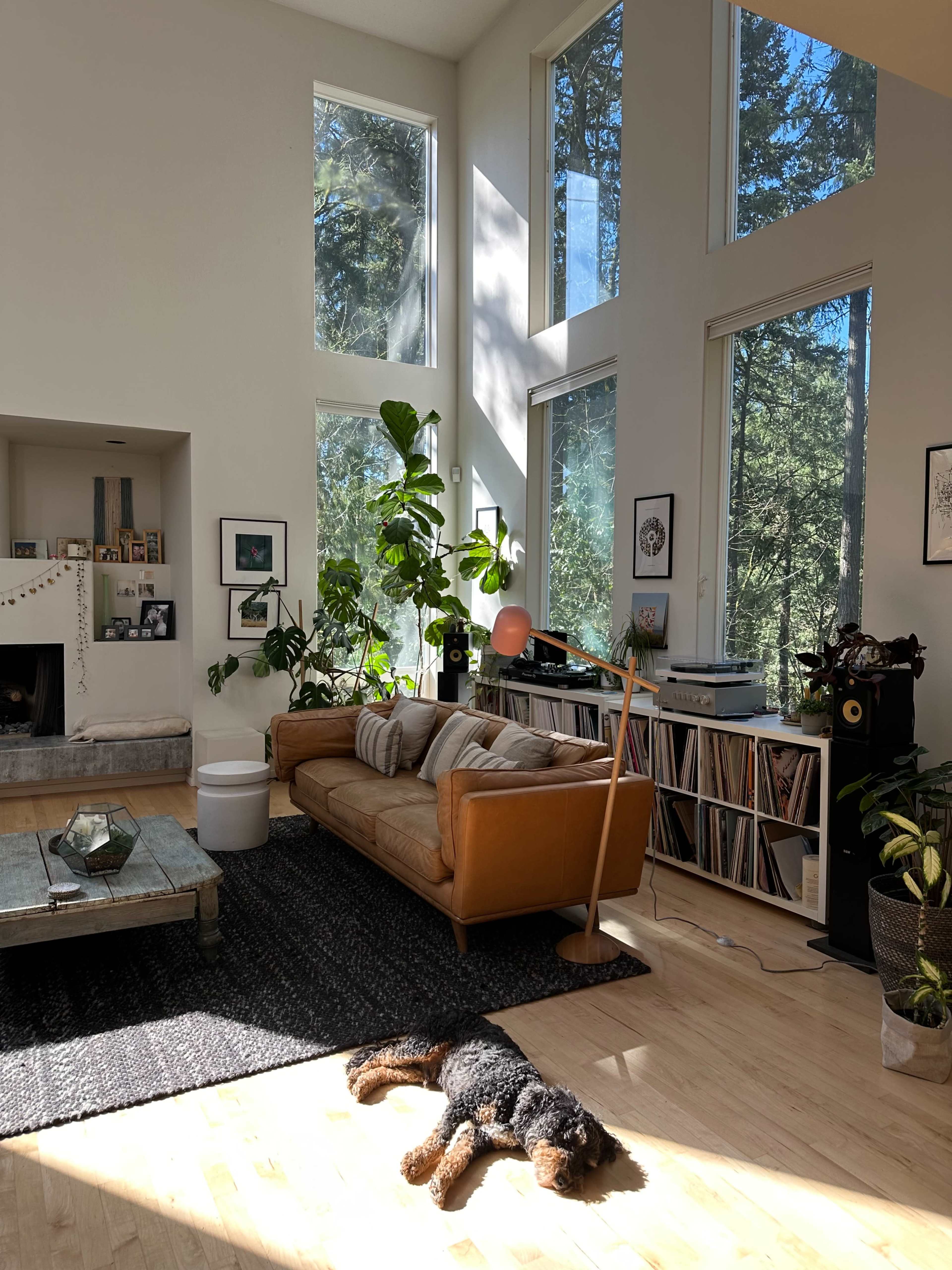 A spacious living room features large windows, a brown leather sofa, a collection of vinyl records, and a dog resting on the wooden floor.