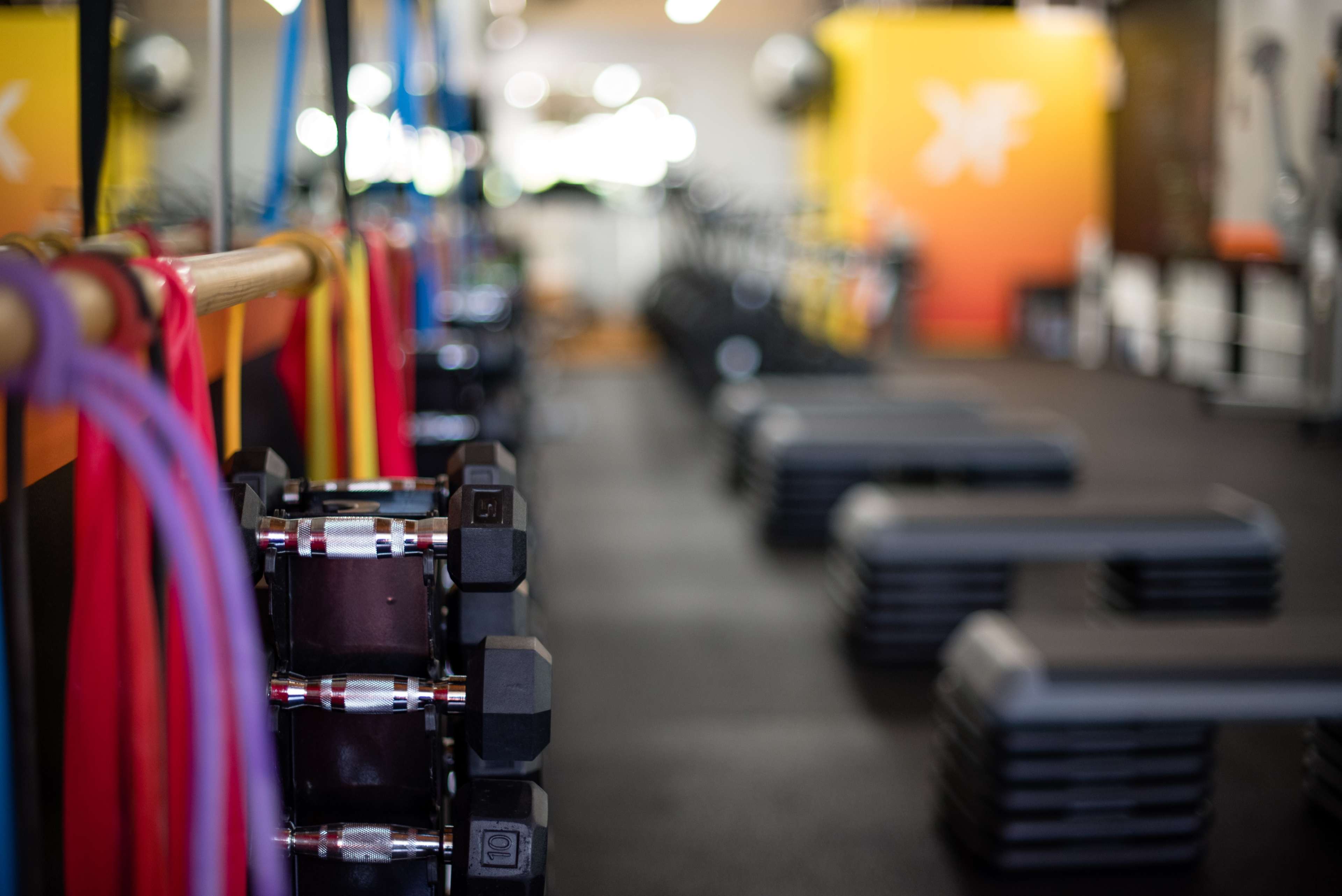 The image shows a gym interior with exercise equipment, including dumbbells and resistance bands, arranged neatly on a rubber floor.