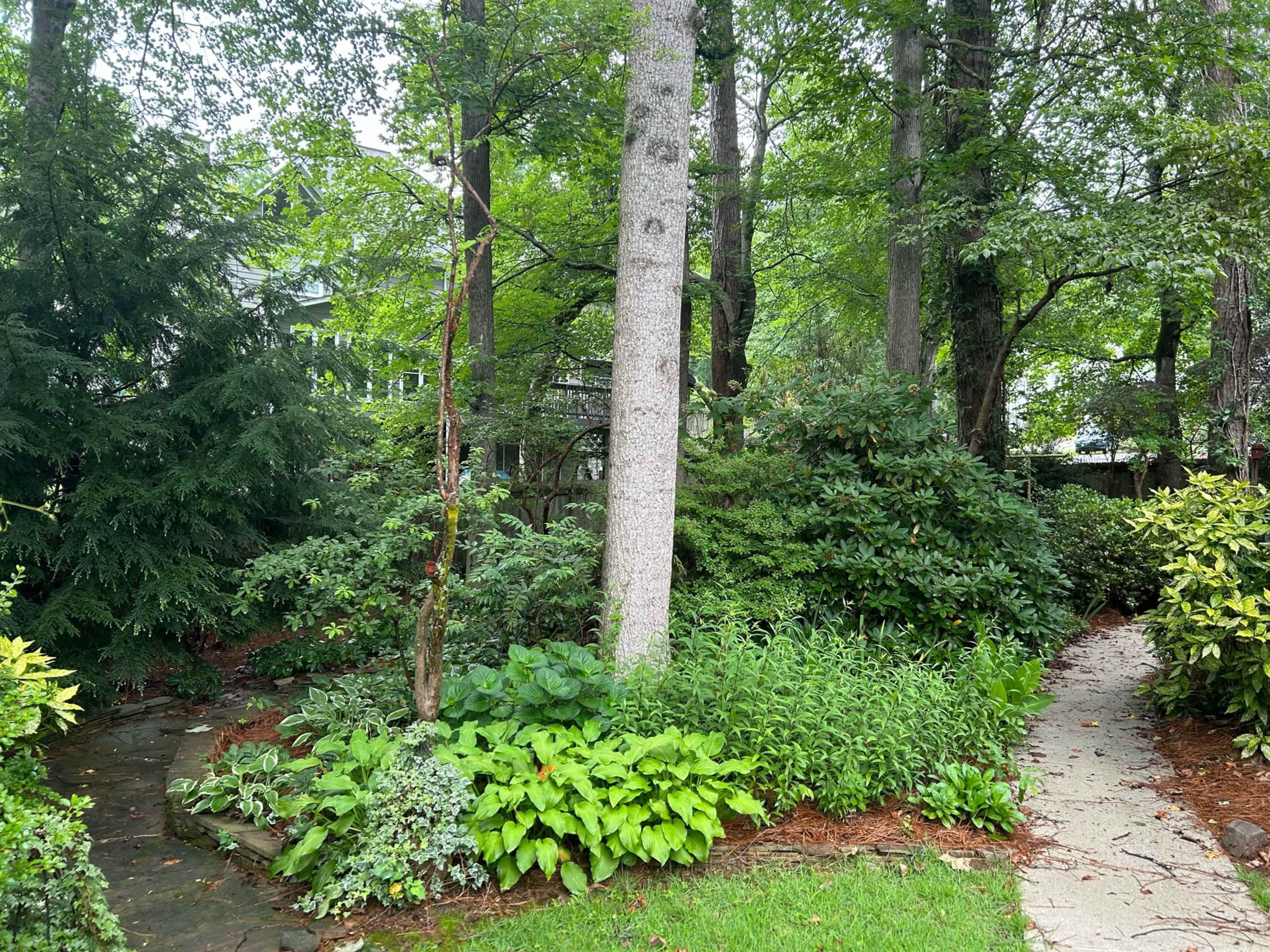 The image shows a lush garden scene with a stone path winding through greenery and trees.